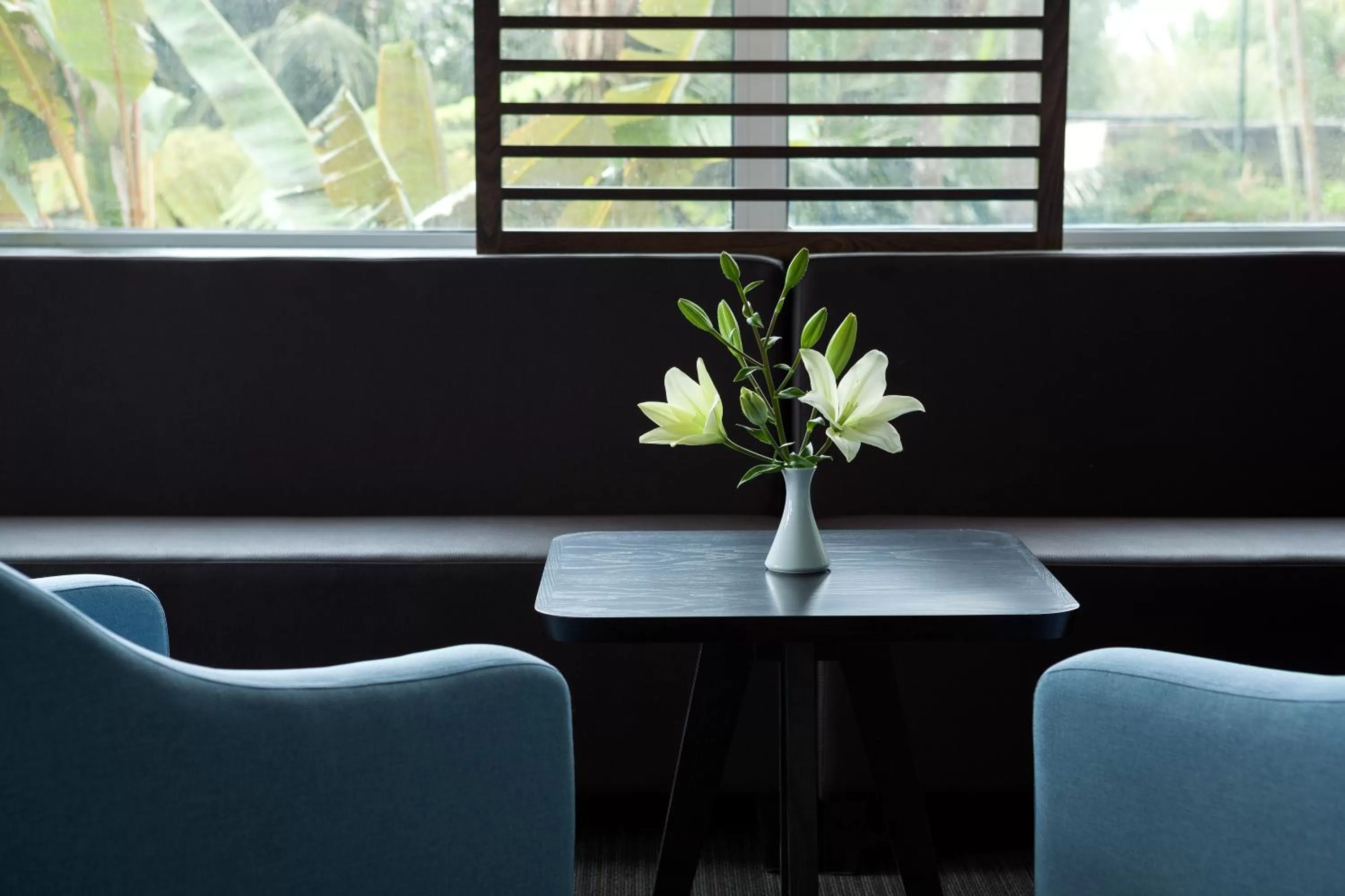 Lounge or bar in Hotel Tigaiga