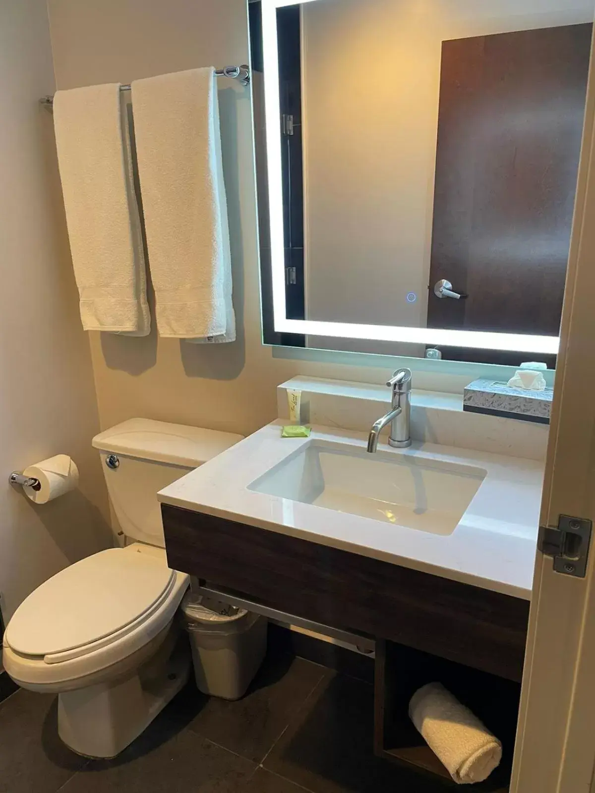 Standard Queen Room in Holiday Inn Express Mexico City Satelite by IHG Standard Queen Room in Holiday Inn Express Mexico City Satelite by IHG