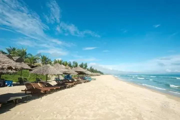 Beach in Cashew Tree Bungalow