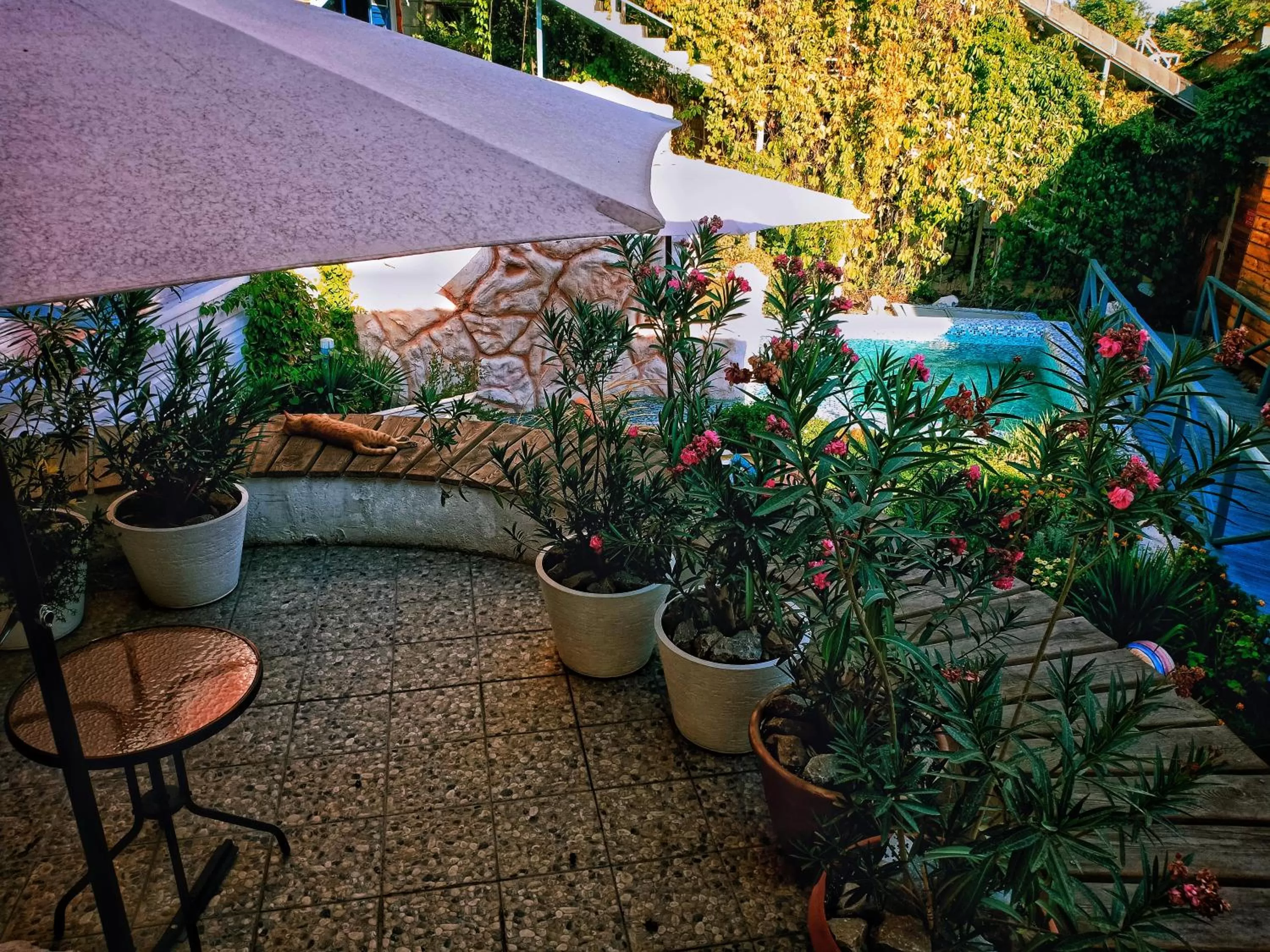 Property building, Swimming Pool in Sapar Standart Hotel