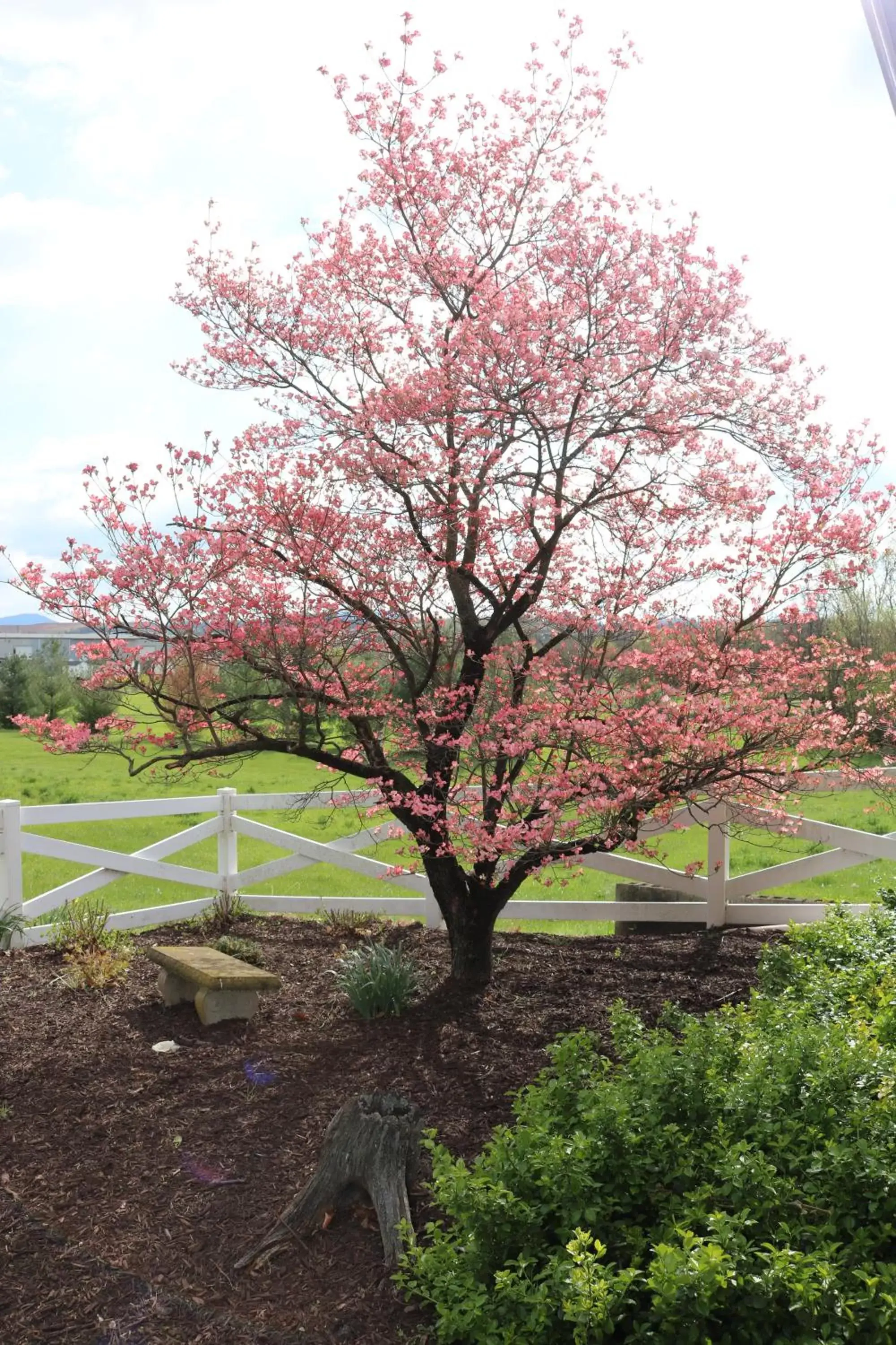 Natural landscape in The Village Inn