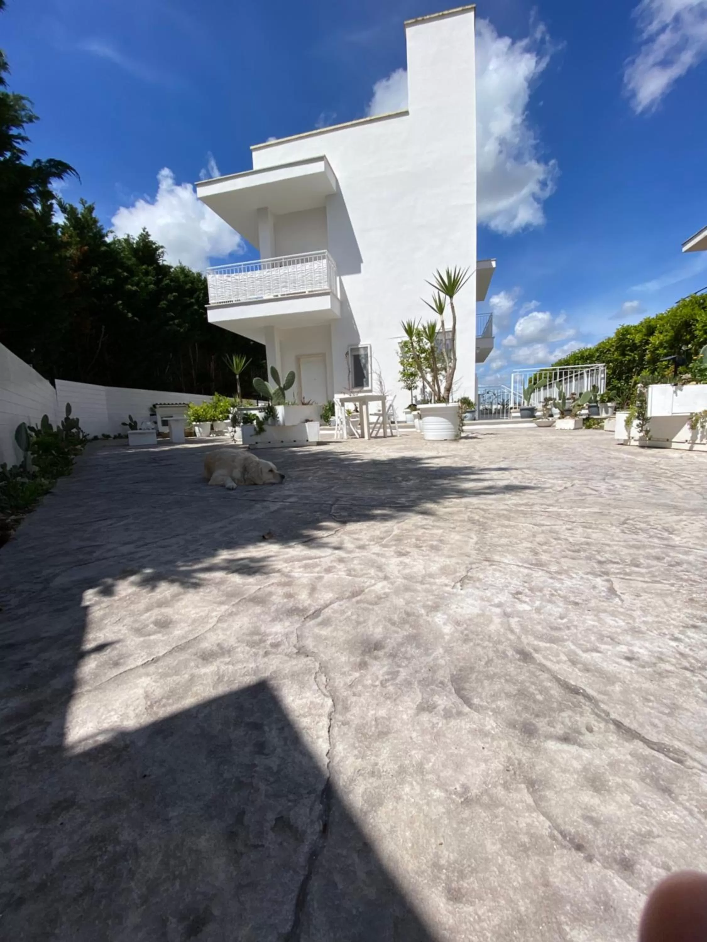 Garden, Property Building in La casa di Nina