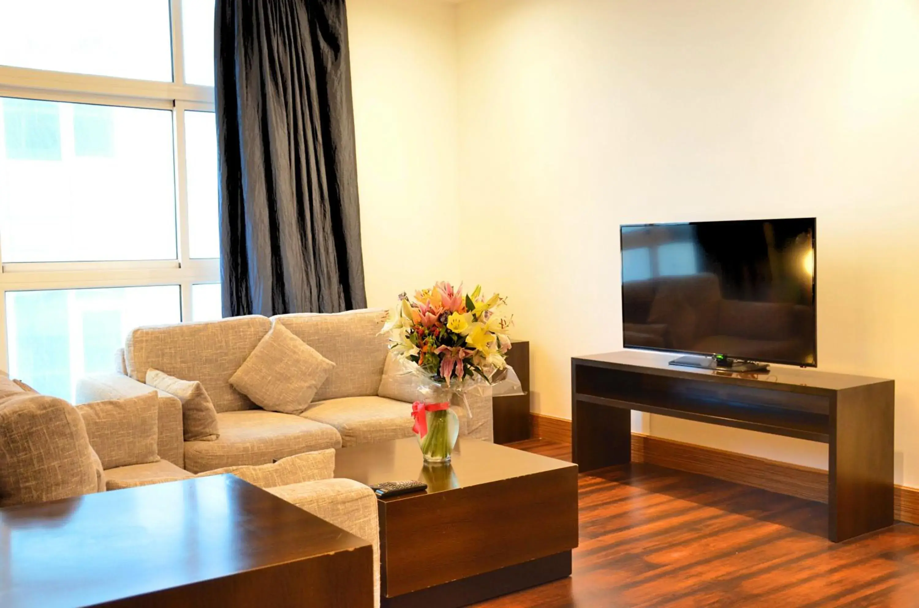 Living room, TV/Entertainment Center in Blaire Executive Suites