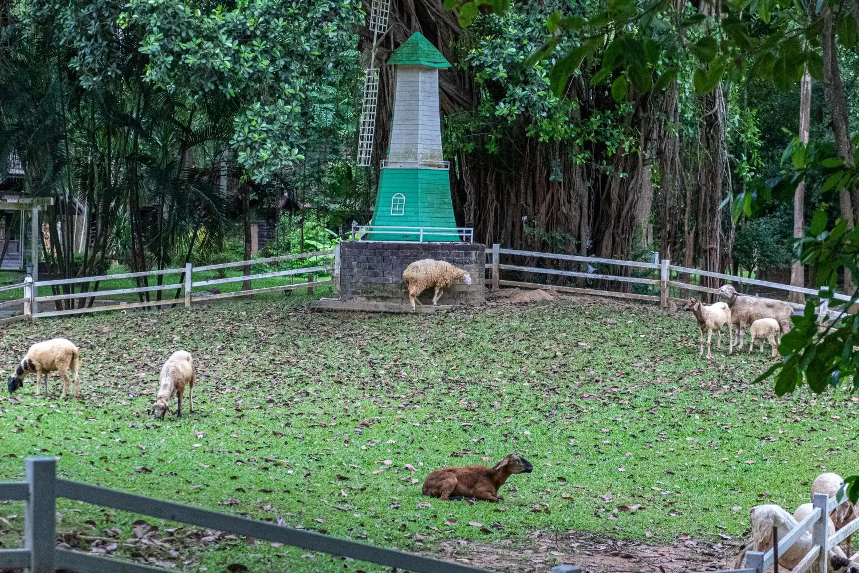 Activities, Other Animals in The Legacy River Kwai Resort