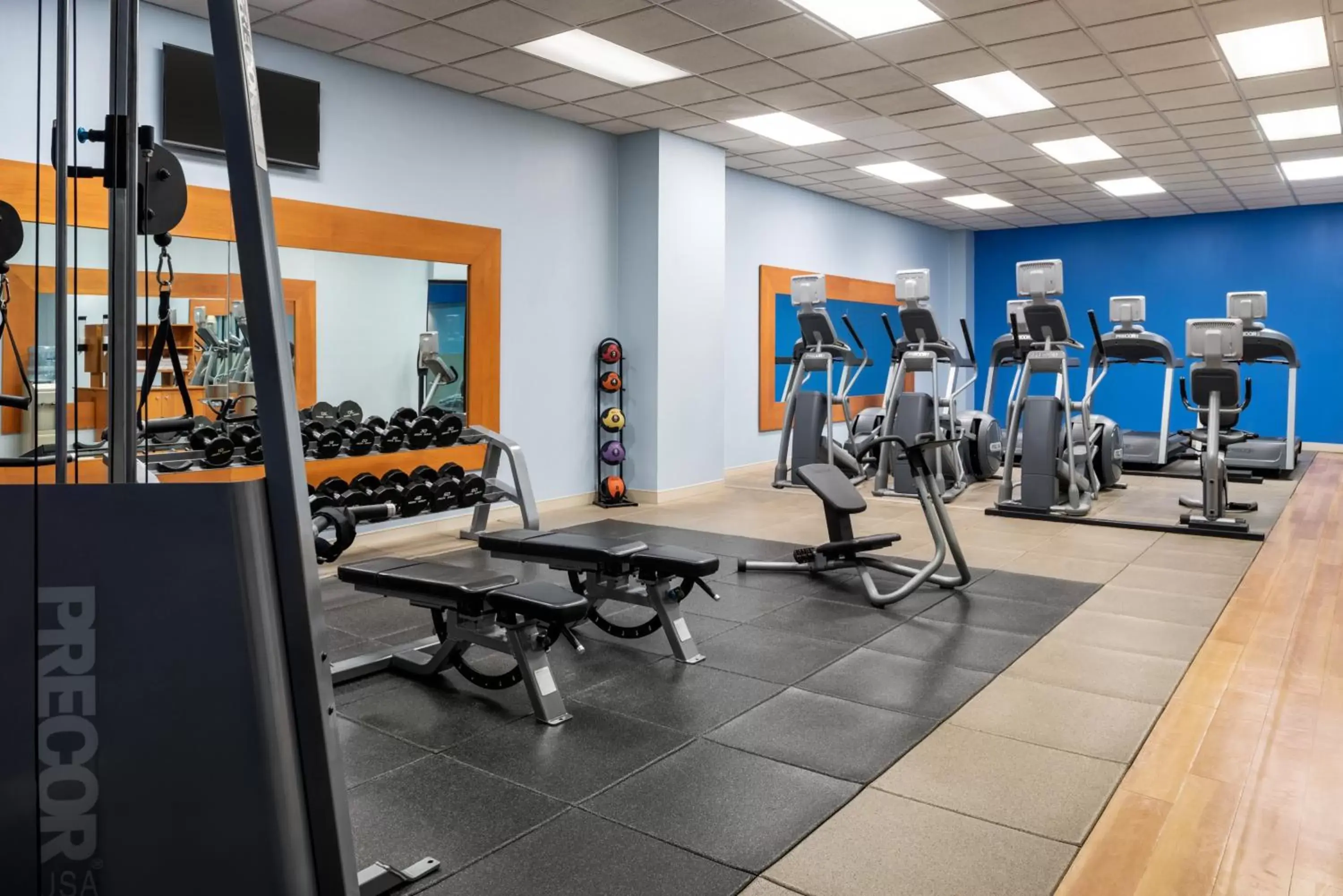 Fitness centre/facilities, Fitness Center/Facilities in Wyndham Springfield City Centre