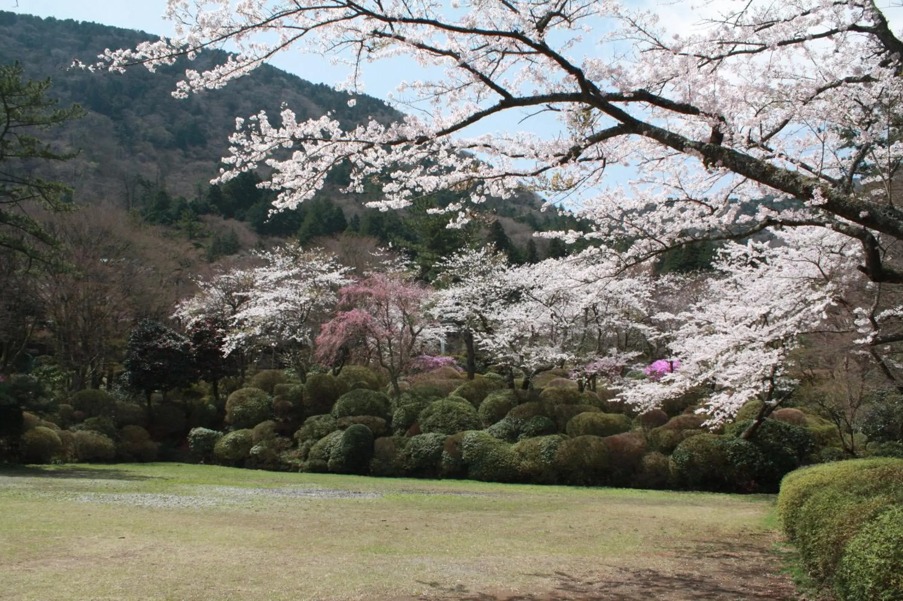 Day, Garden in Hakone Kowakien Miyamafurin