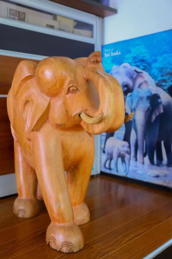 Canal Side Guest House Polonnaruwa