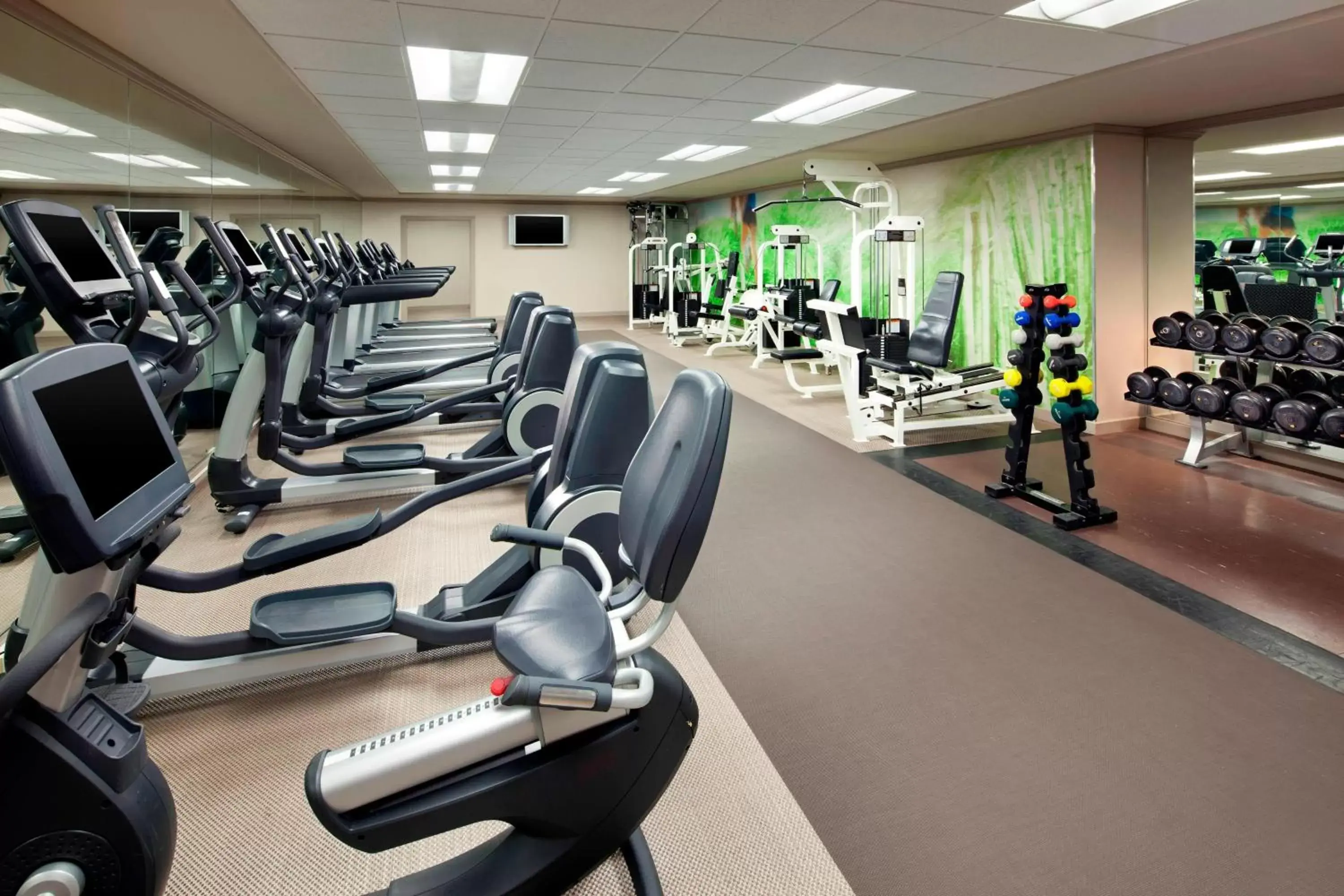 Fitness centre/facilities, Fitness Center/Facilities in The Westin Lake Las Vegas Resort & Spa
