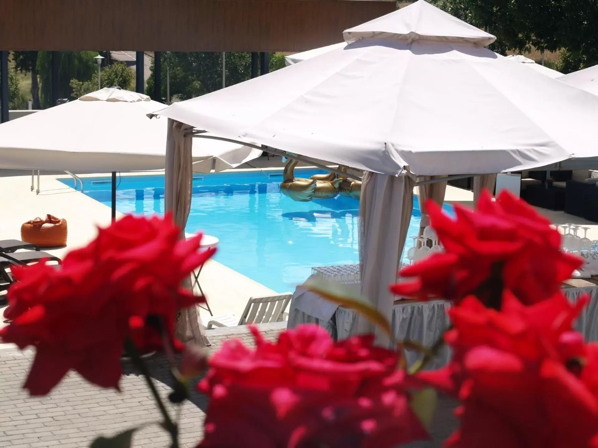 Garden, Swimming Pool in Hotel Estalagem Turismo