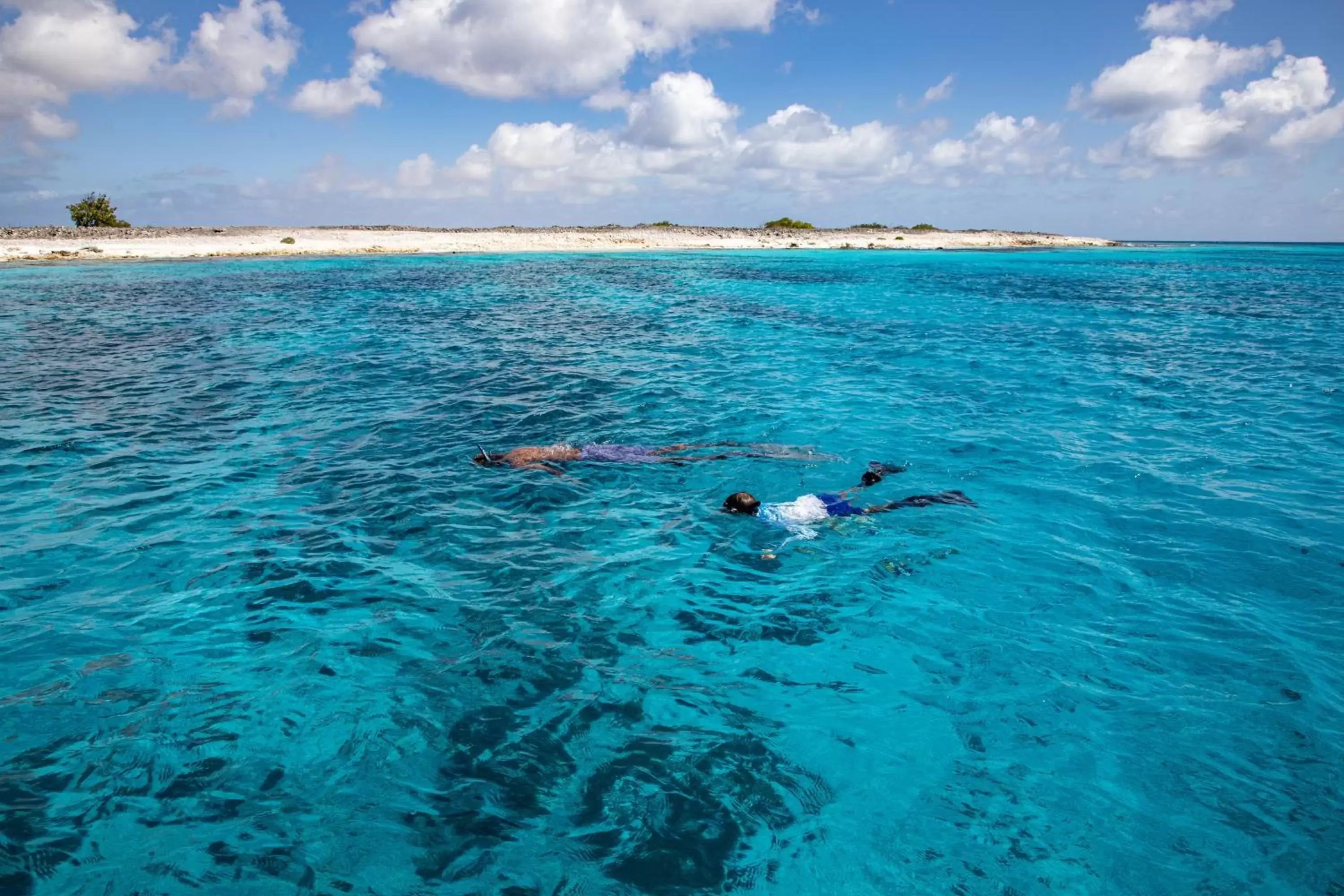 Snorkeling in Harbour Village Beach Club