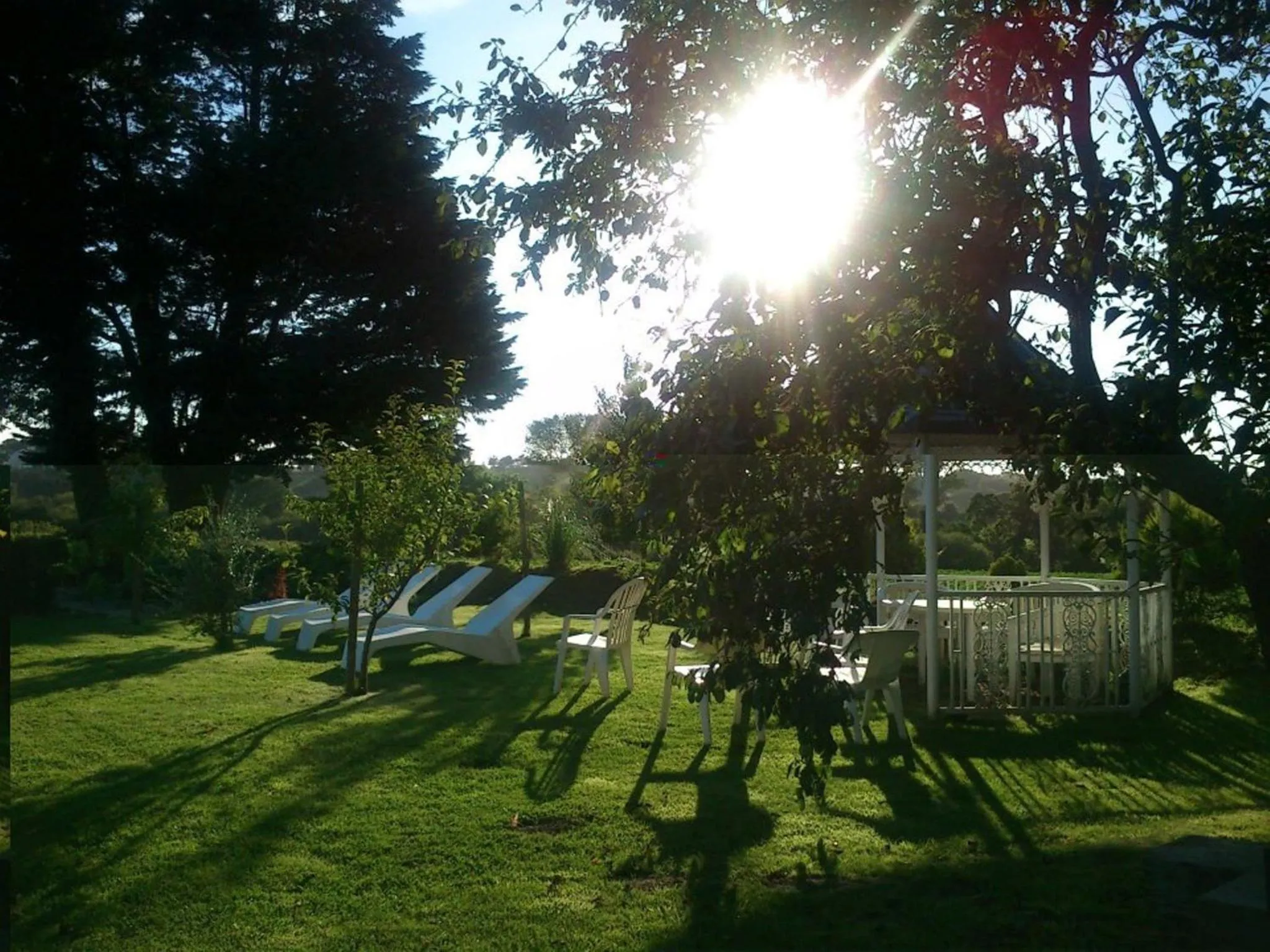 Natural landscape in Beachcombers Hotel