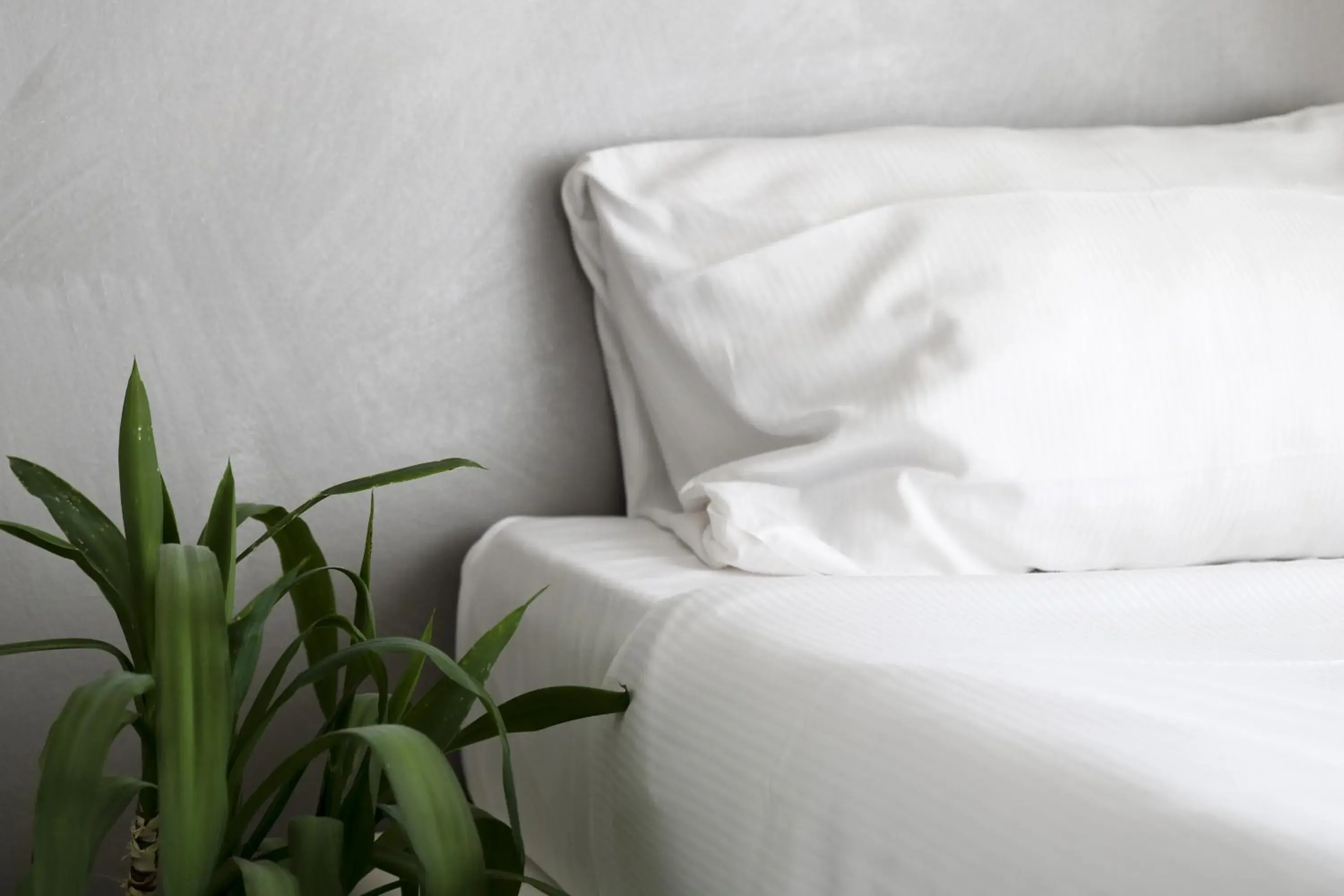 Family Room with Garden View in Boutique Hotel Bali Family Room with Garden View in Boutique Hotel Bali