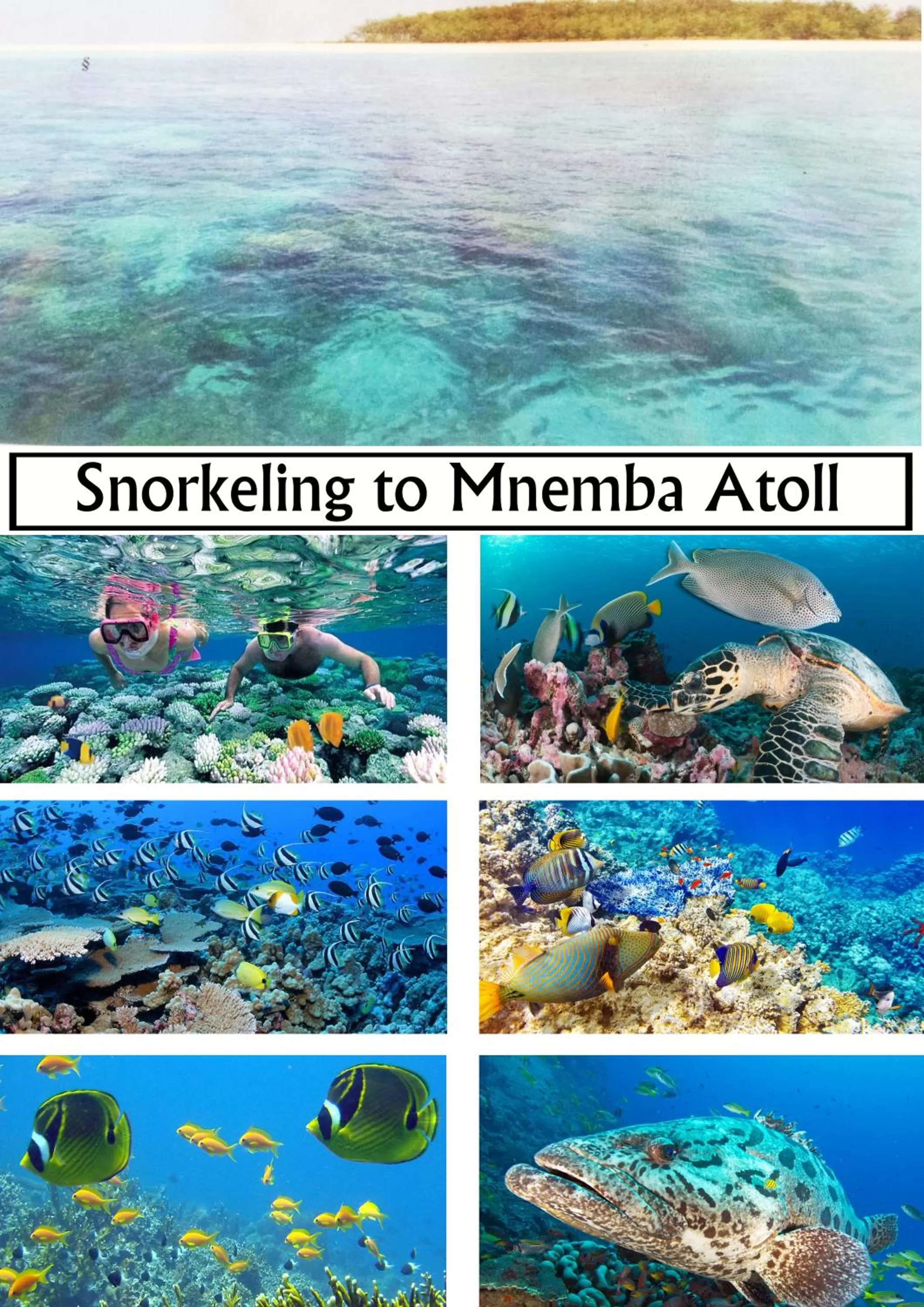 Baraka Aquarium Bungalows