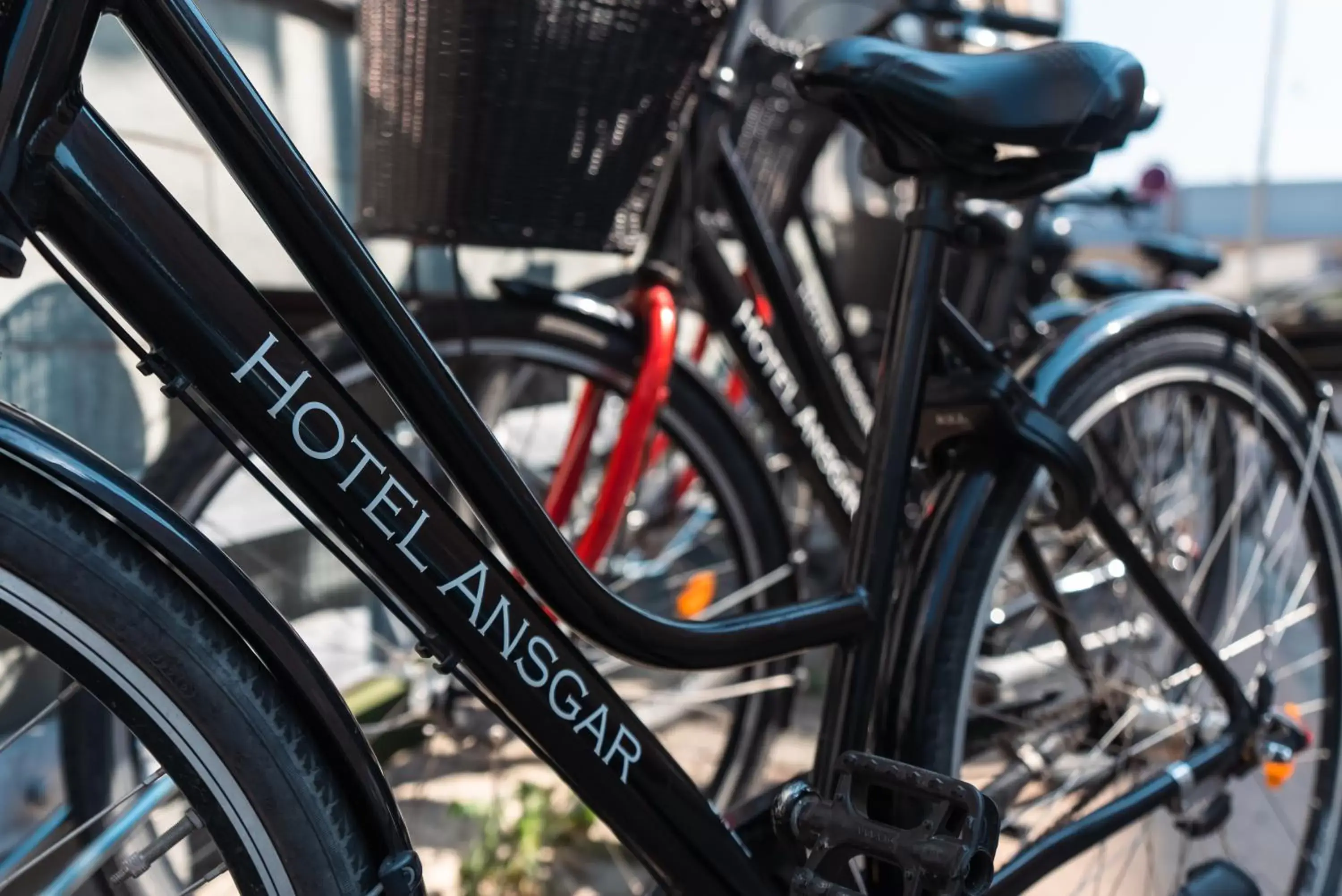 Cycling, Biking in Go Hotel Ansgar