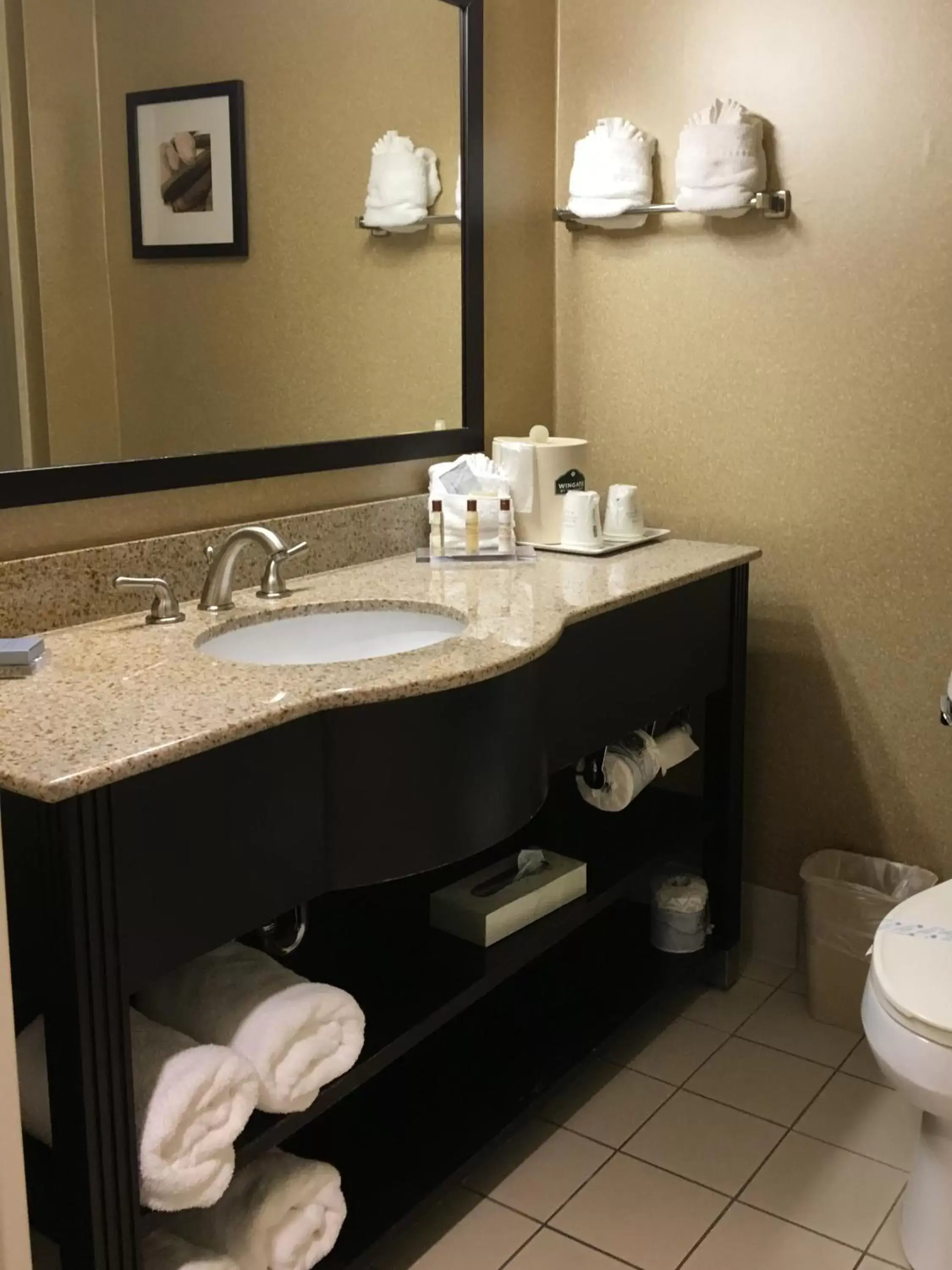 Bathroom in Wingate by Wyndham Wilmington