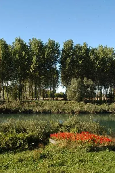 Day, Natural Landscape in Borgo Cà dei Sospiri