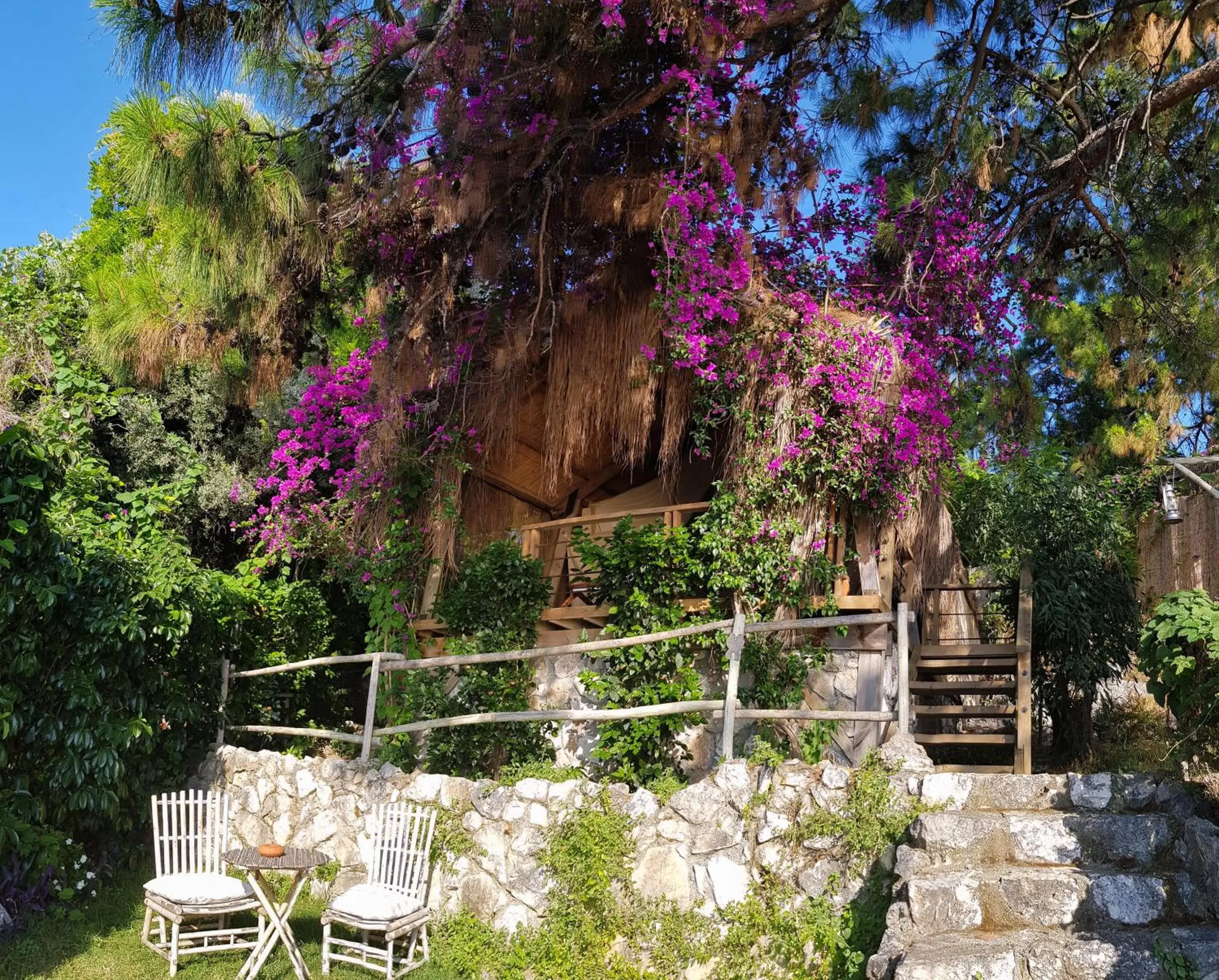 Garden in Perdue Hotel