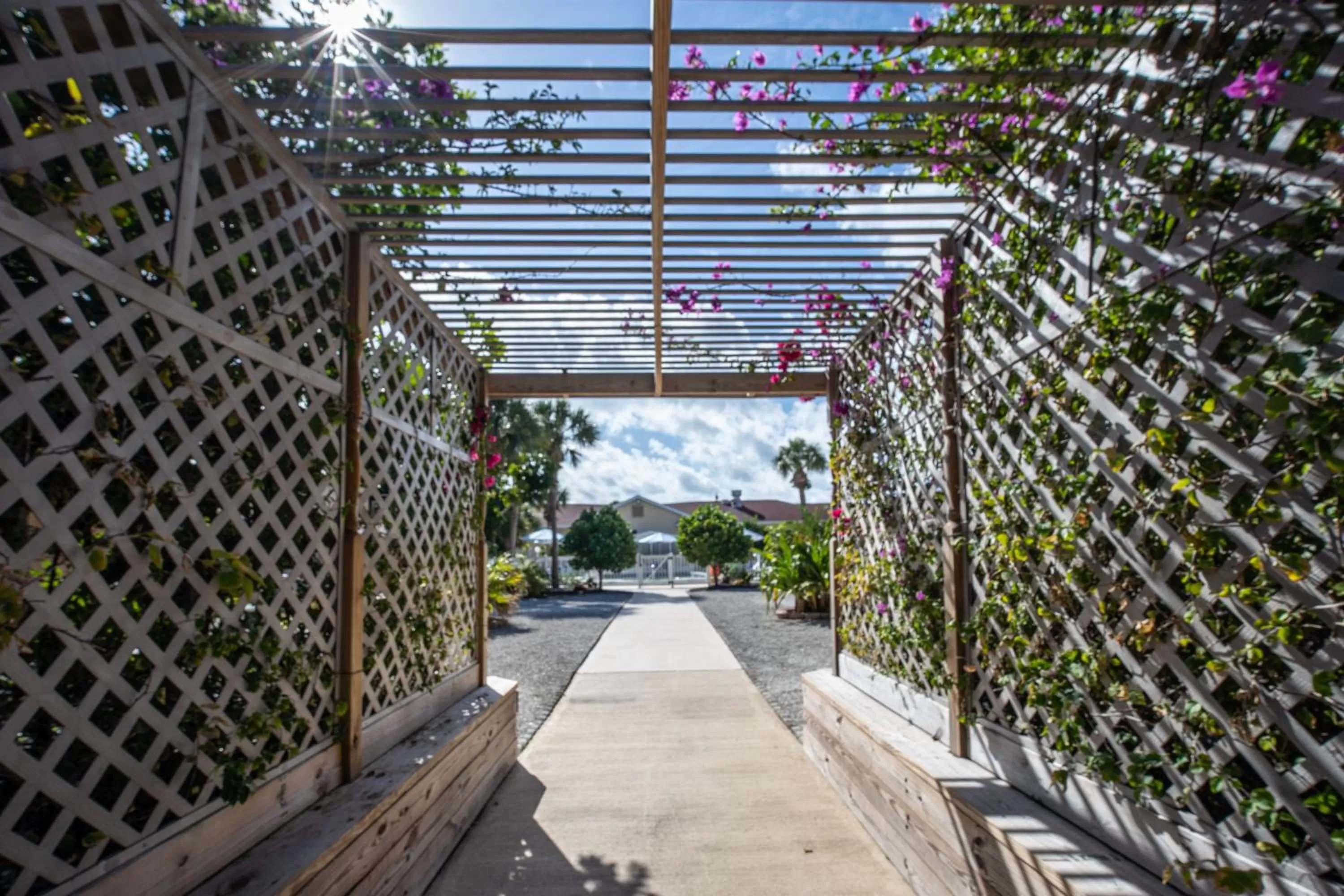 Natural landscape in Island Sun Inn & Suites - Venice, Florida Historic Downtown & Beach Getaway