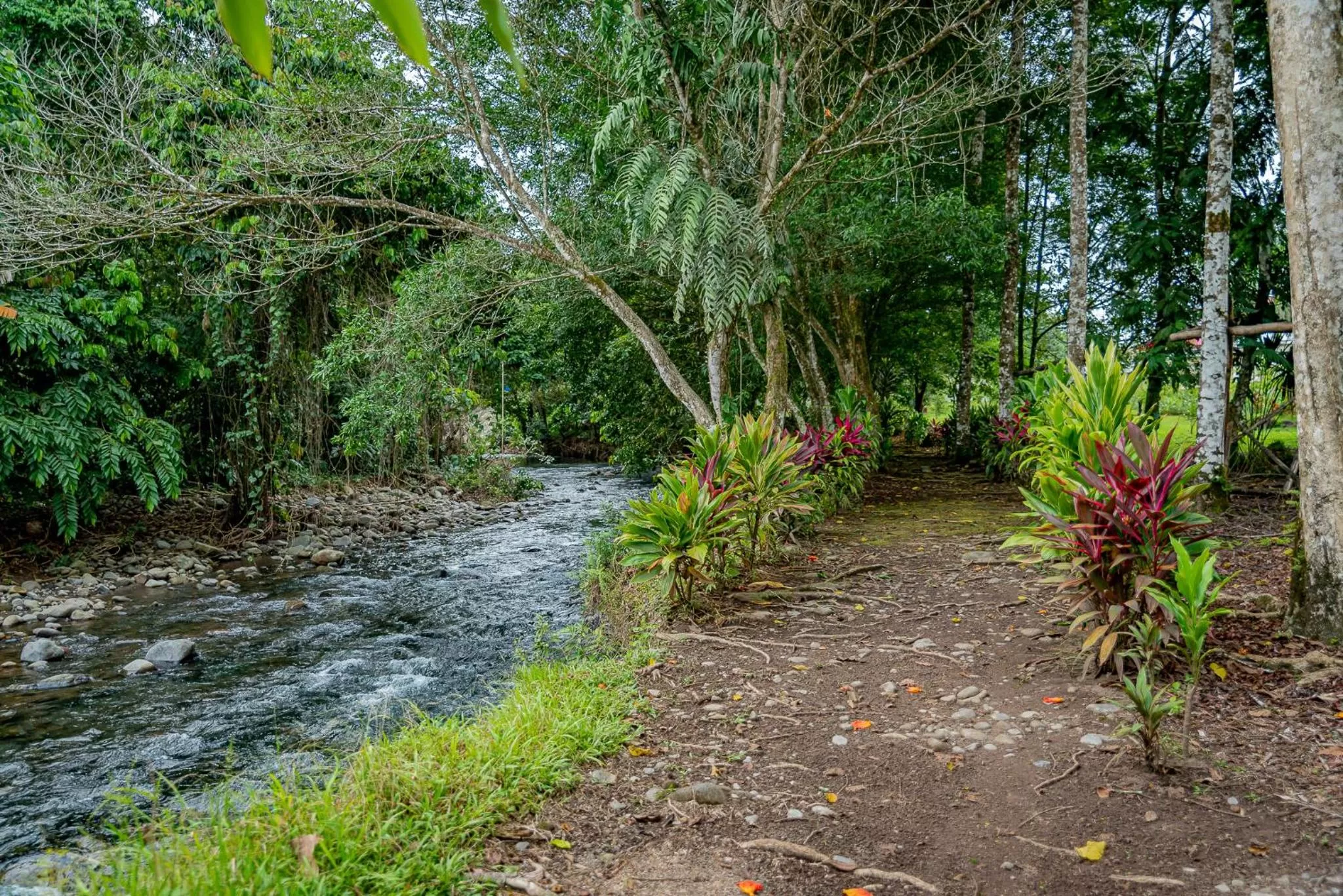 Natural landscape in Hotel Los Rios