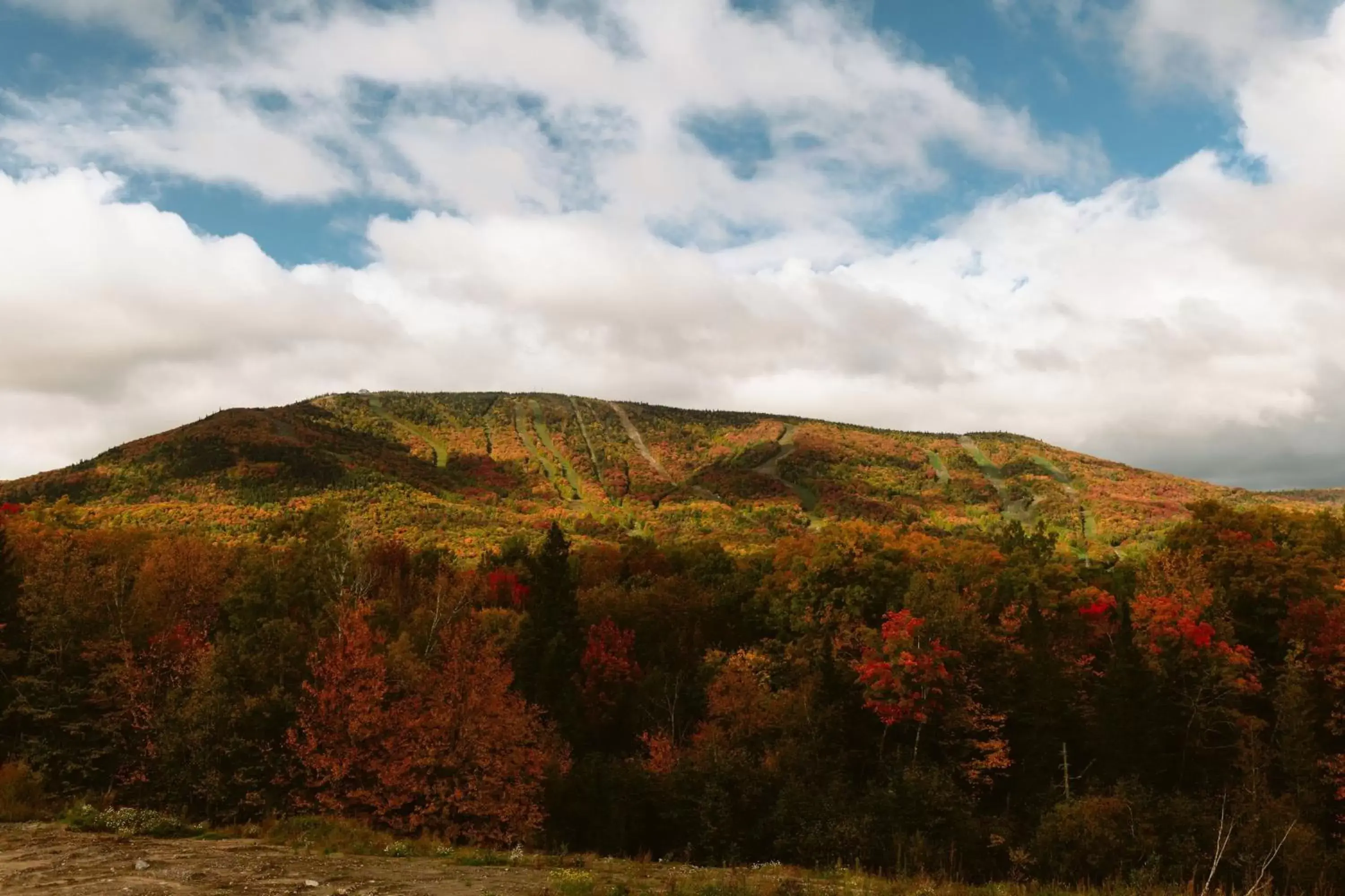 Other in Delta Hotels by Marriott Mont Sainte-Anne, Resort & Convention Center