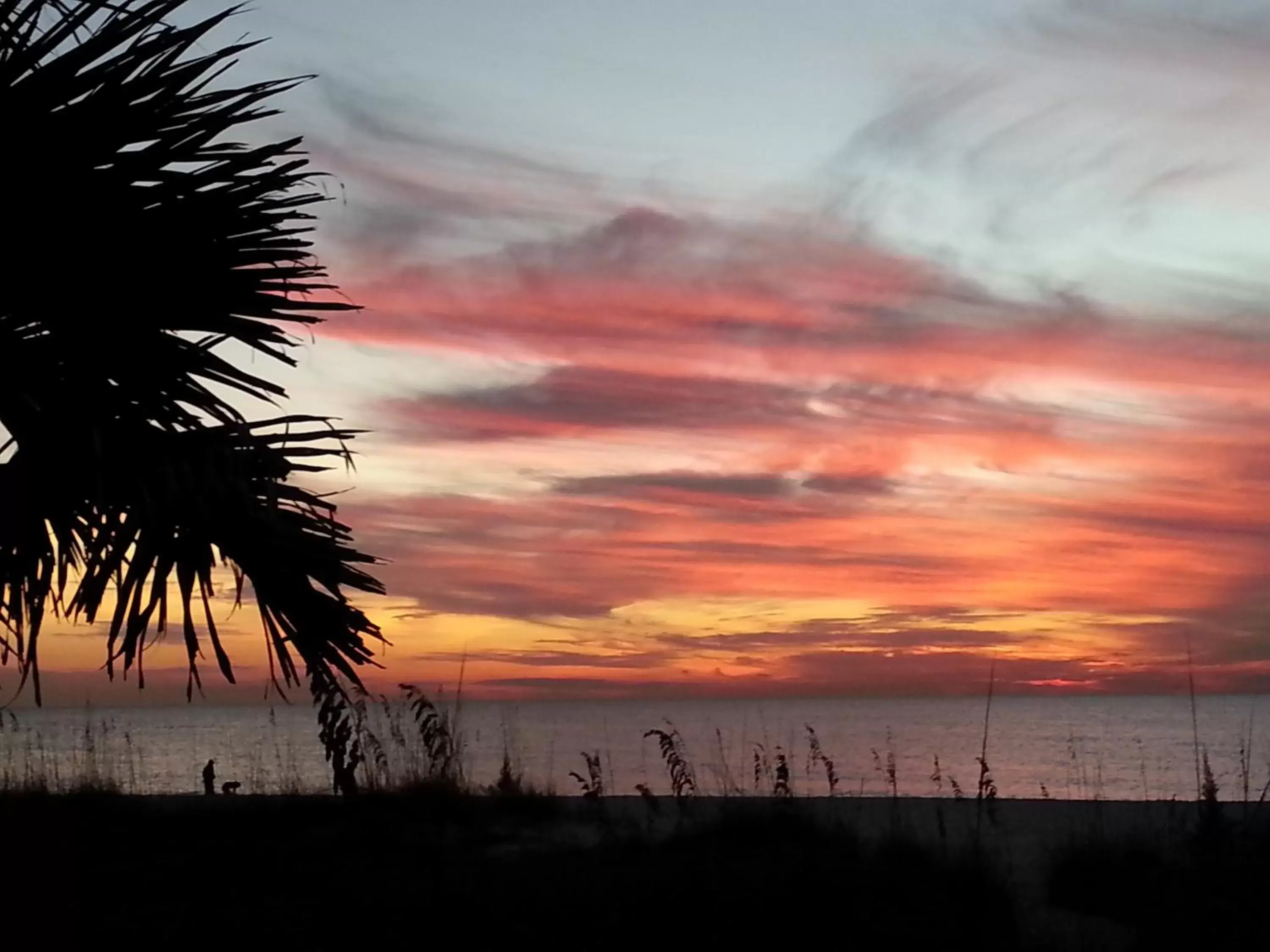 Sunrise/Sunset in Escape Casey Key