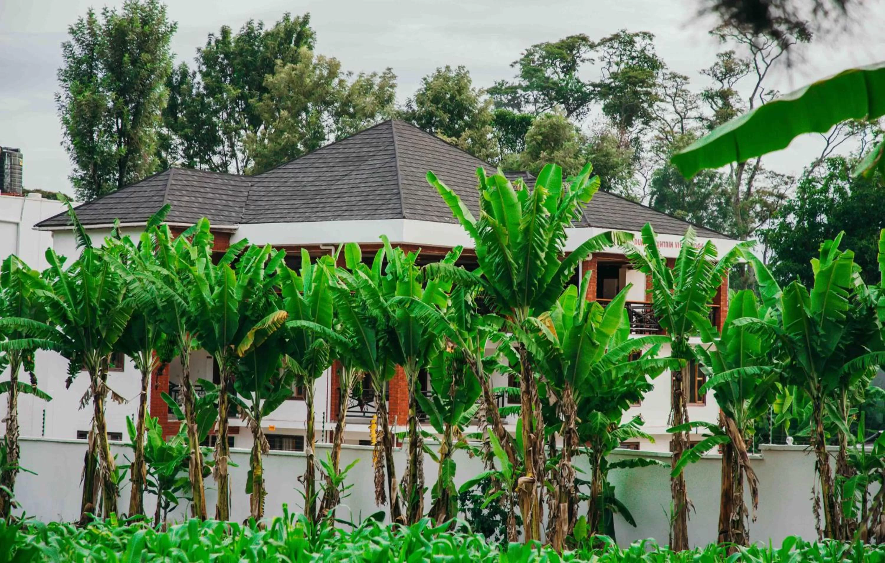 Property building in Dual Mountain View Lodge