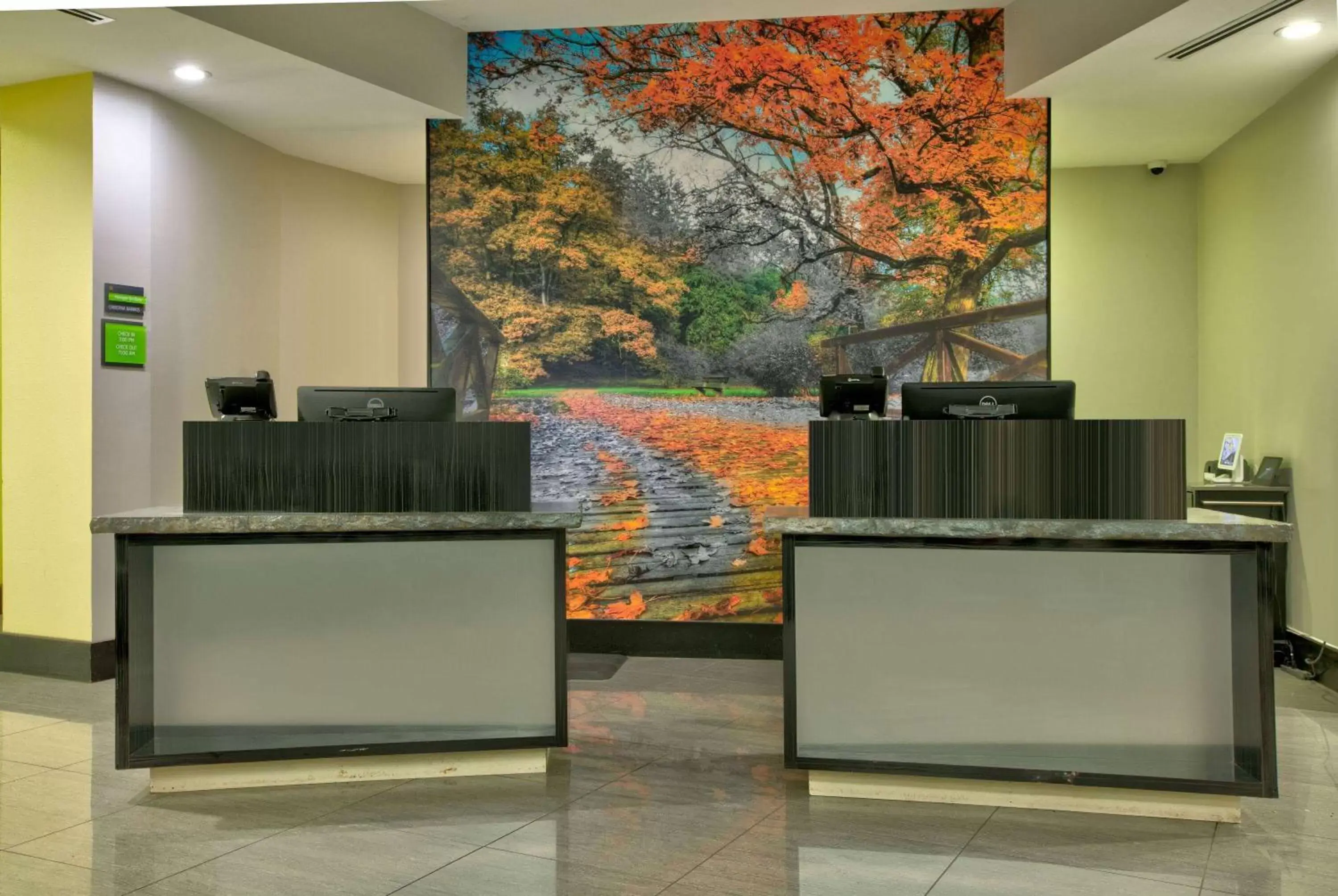 Lobby or reception in La Quinta Inn & Suites by Wyndham Lubbock Southwest
