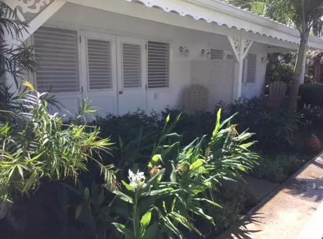 Patio, Property Building in Mahona Boutique Hotel