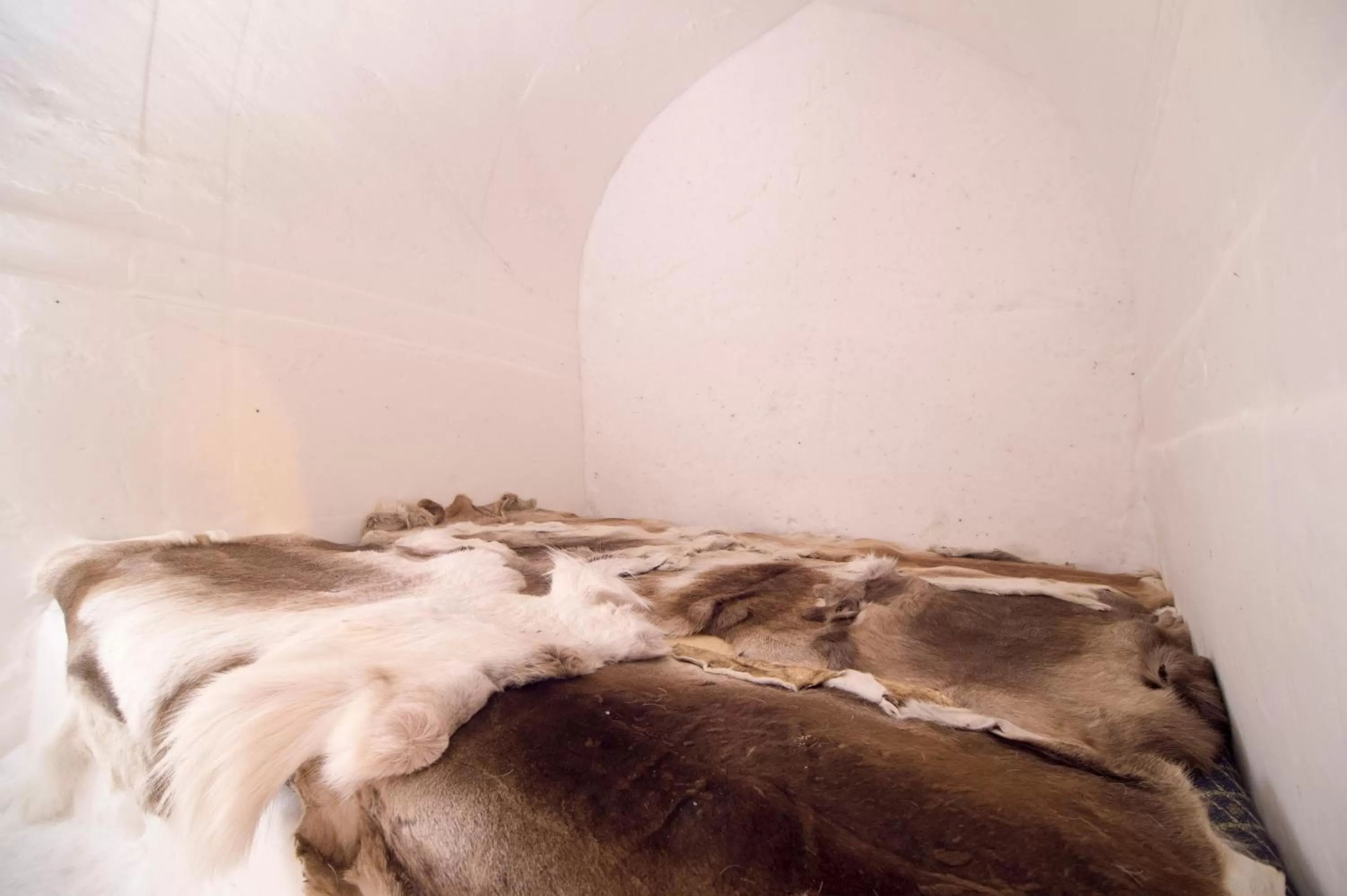 Bedroom, Bed in Sorrisniva Igloo Hotel