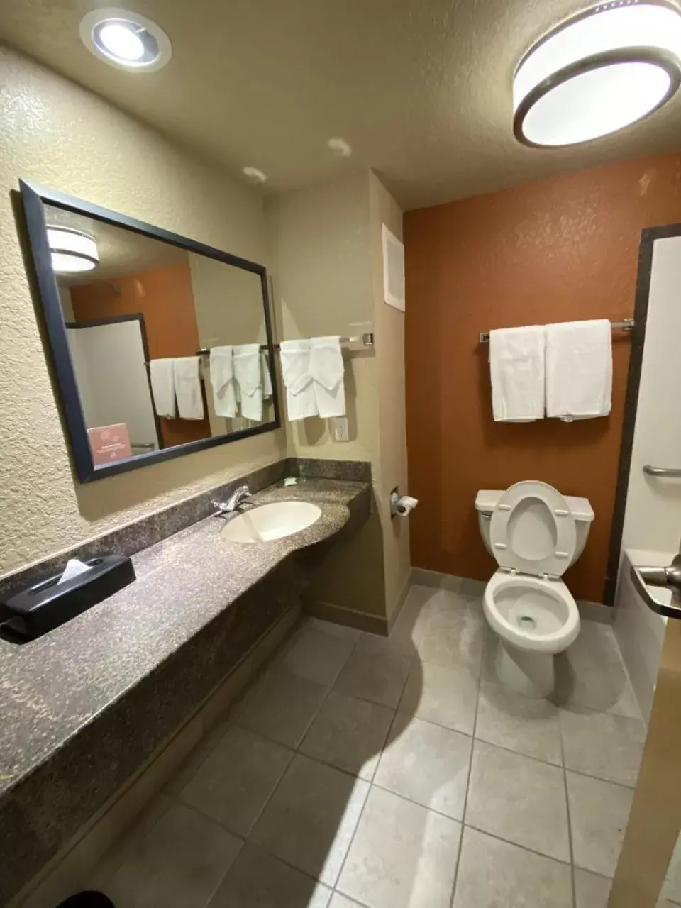 King Room - Accessible/Non-Smoking in Sleep Inn & Suites Ocala - Belleview