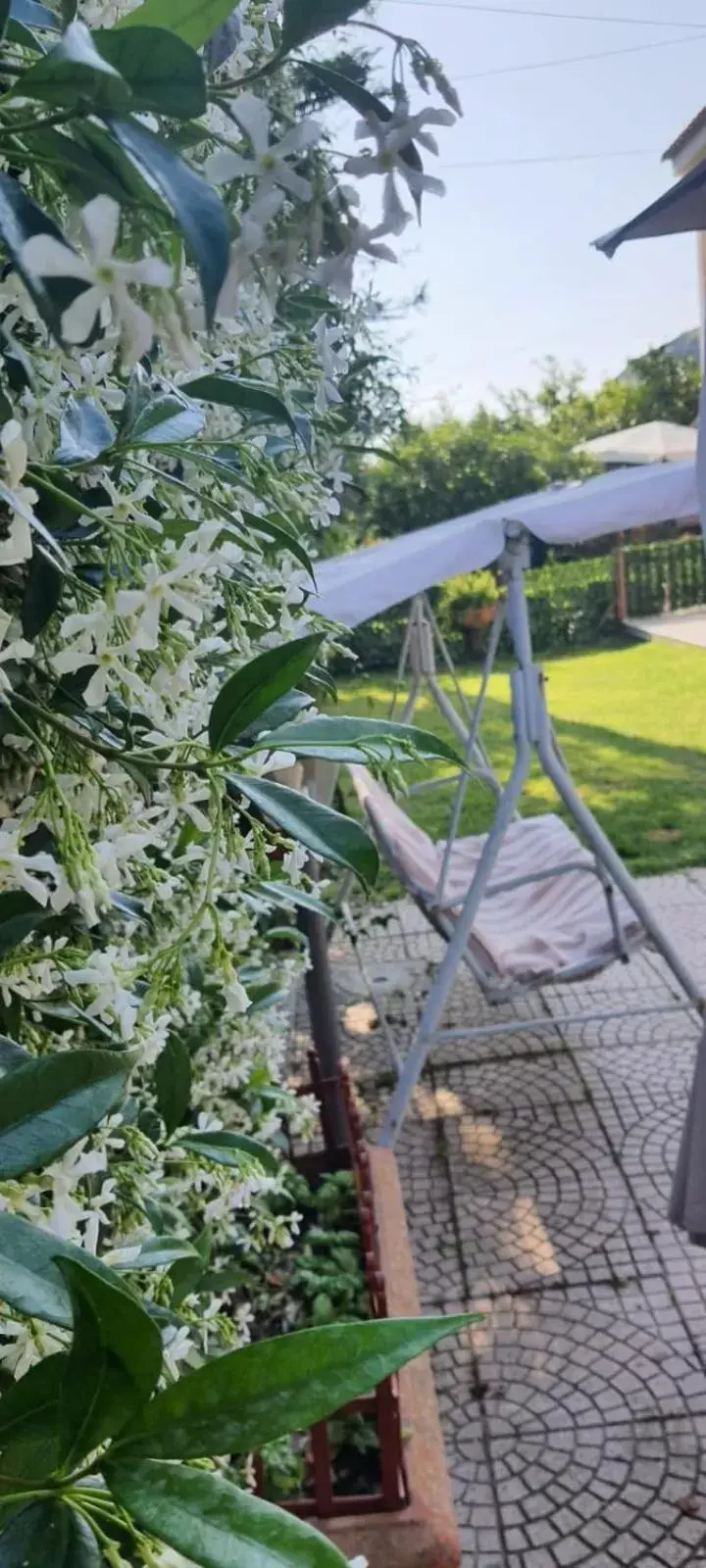 Garden in La casa di Barry