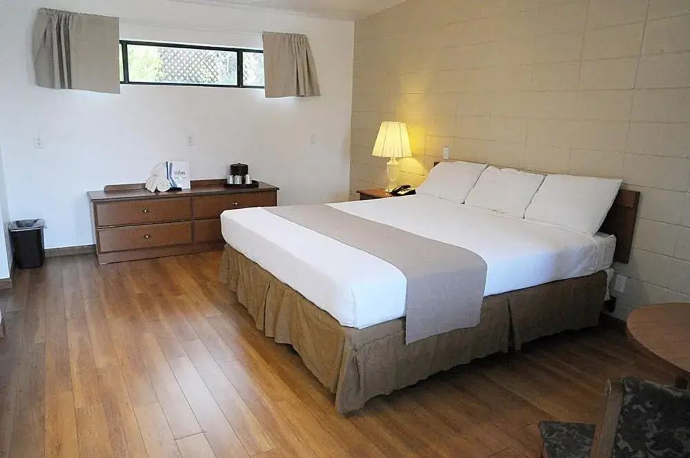 Room Photo in CCBC Resort Hotel - A Gay Men's Resort