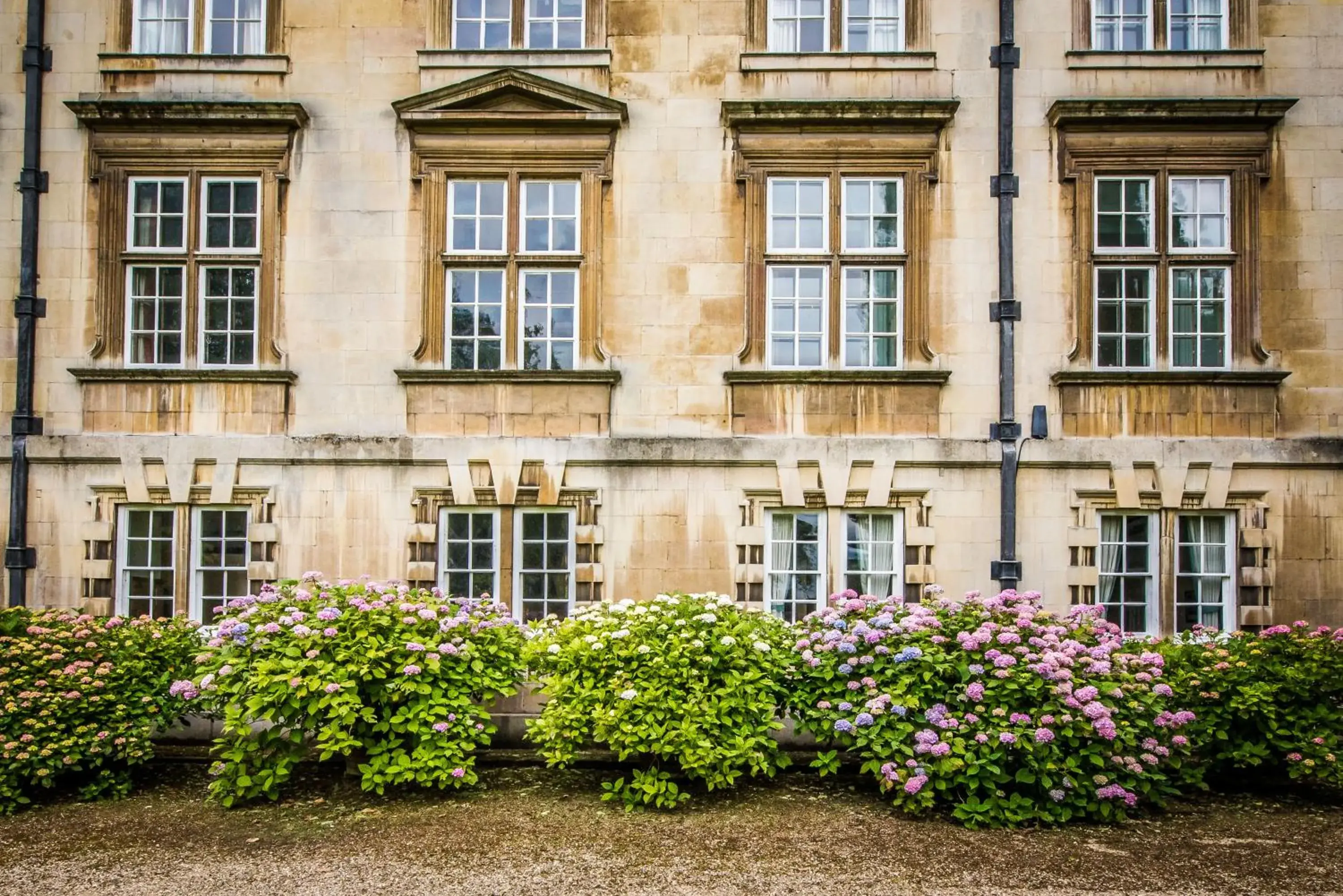 Property Building in Christs College Cambridge