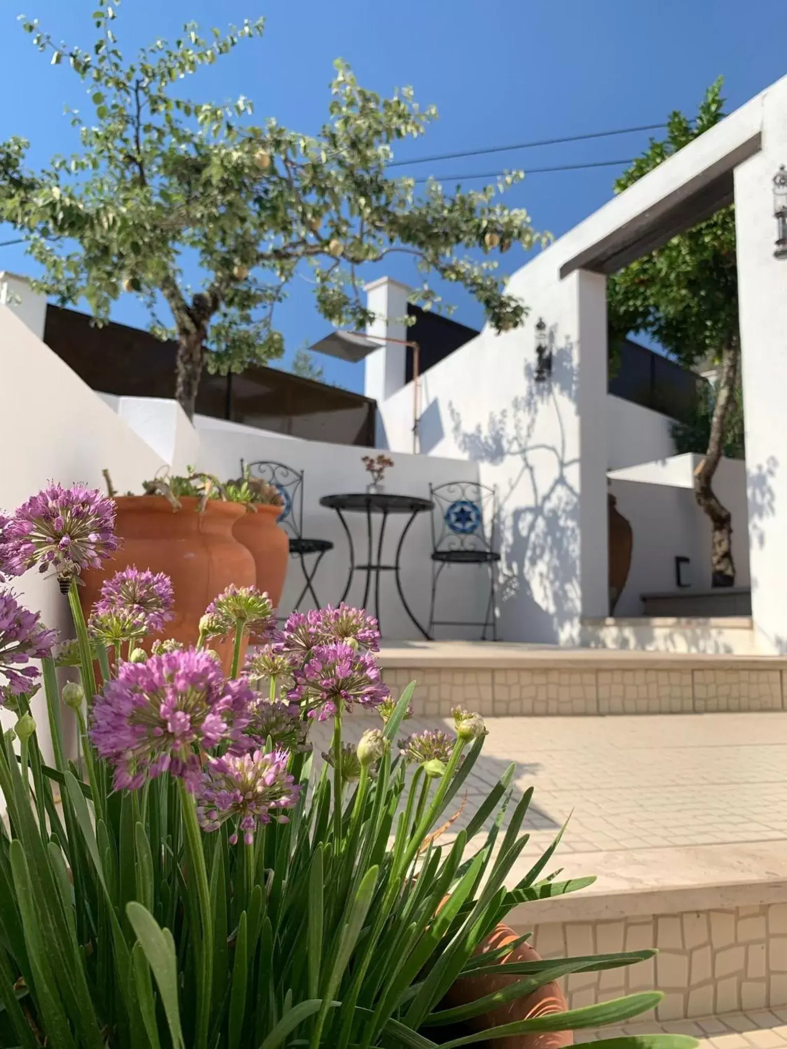 Garden view, Property Building in Casa Da Oliveira