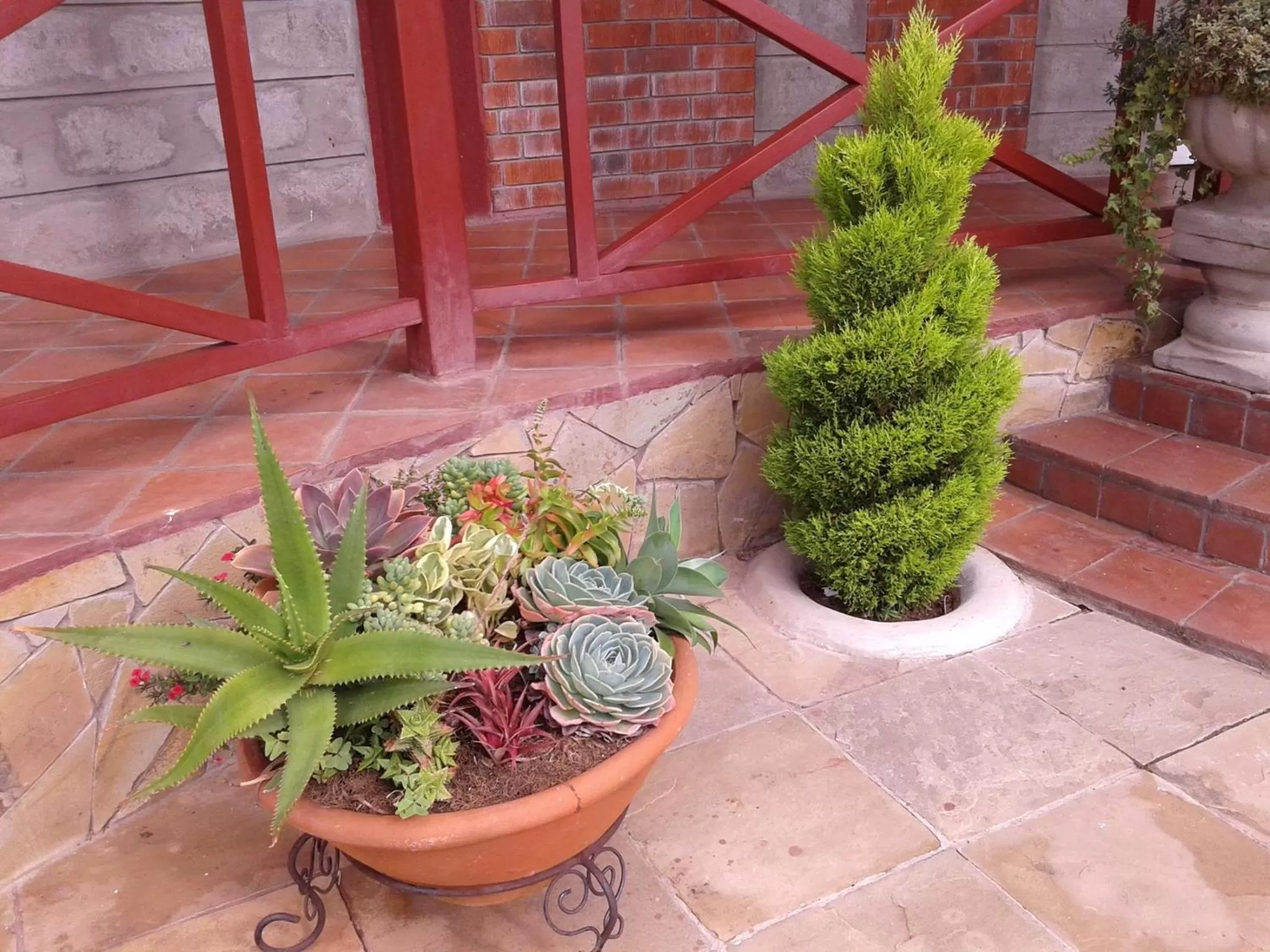 Patio/Outdoor Area in Tumaini Gardens