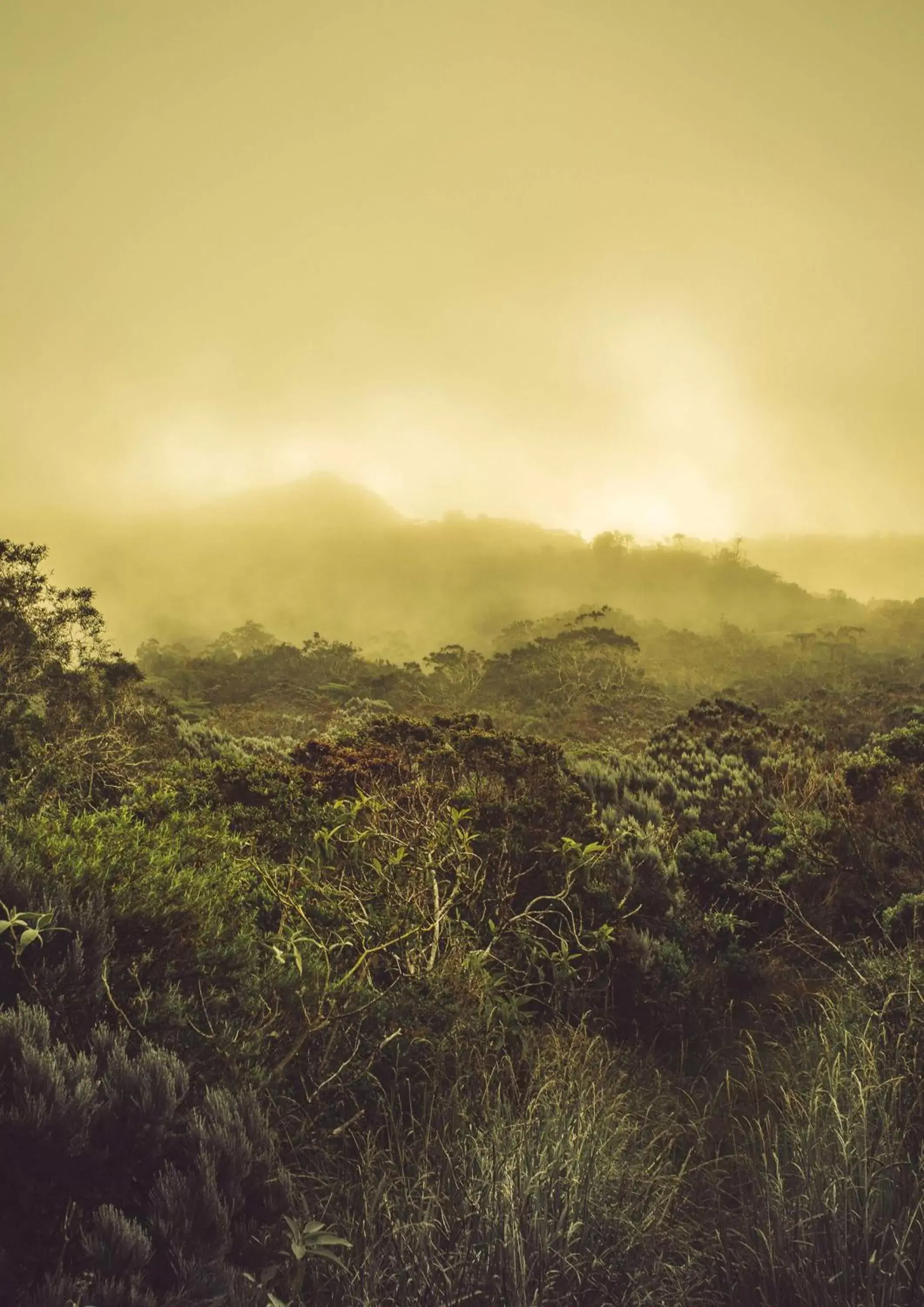 Nearby landmark, Natural Landscape in Radisson Hotel Saint Denis, La Reunion