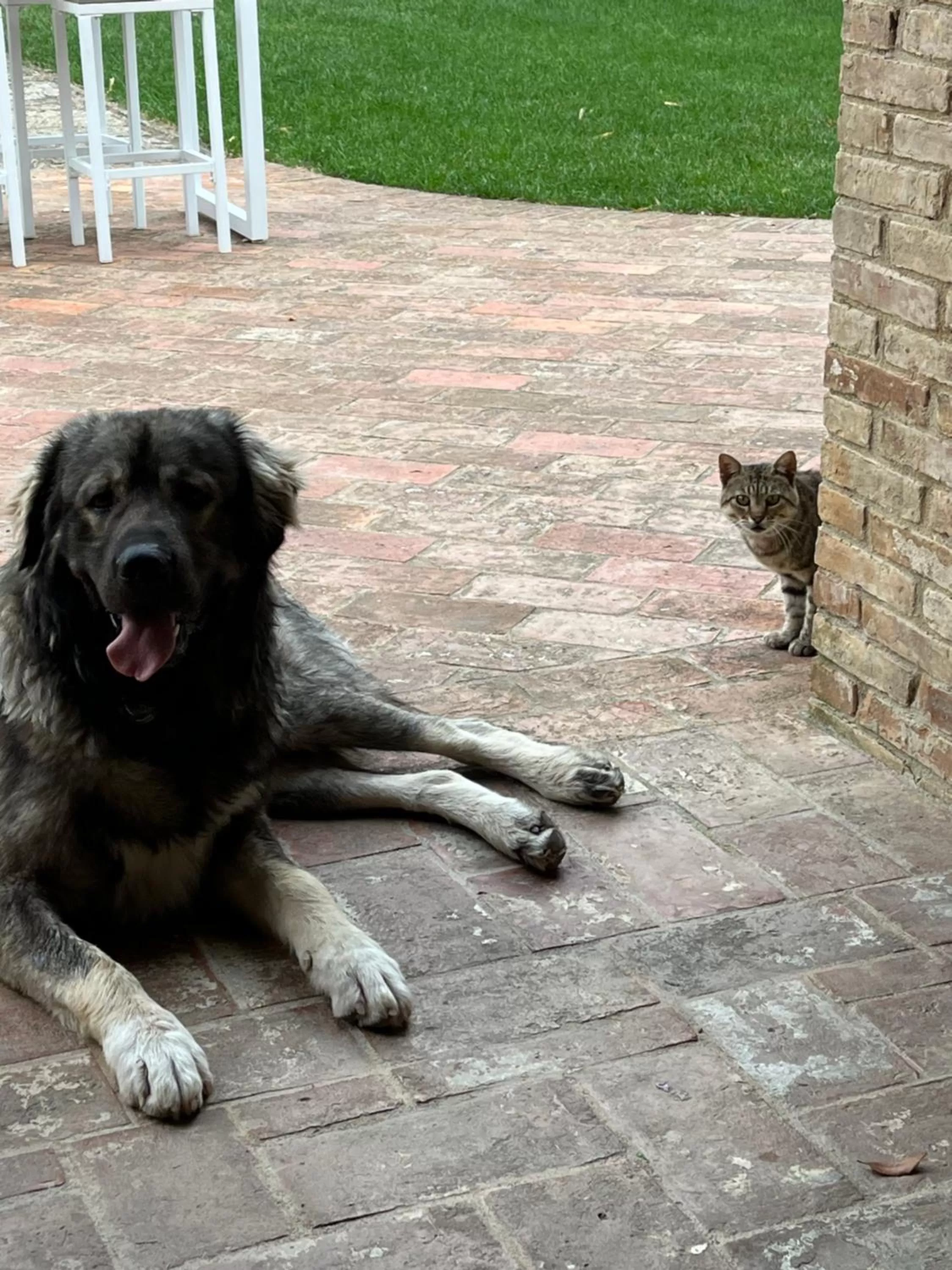 Villa Preselle Country Resort