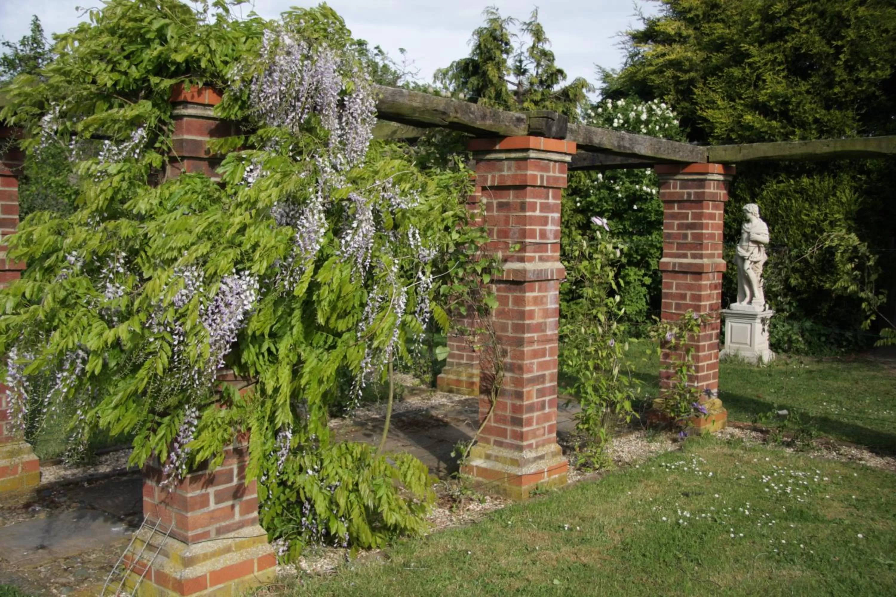 Garden in Pointers Guest House