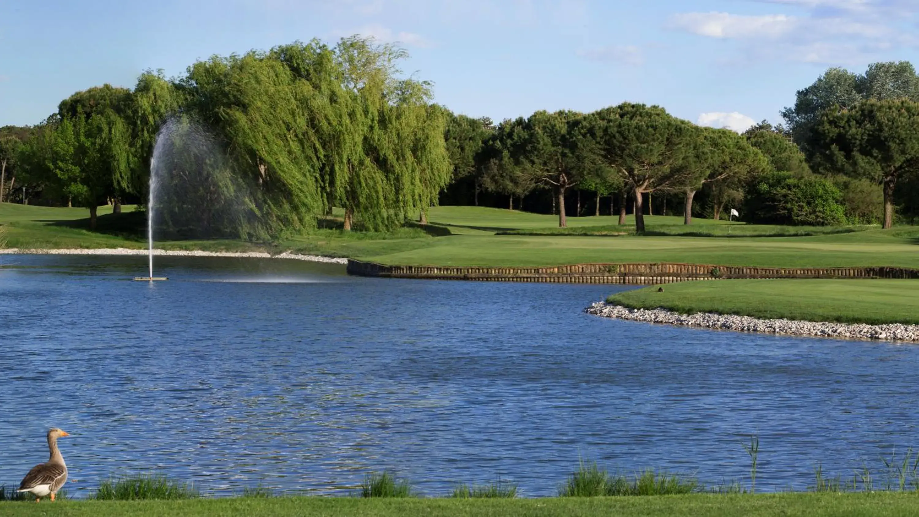 Golfcourse in Hotel Golf Inn