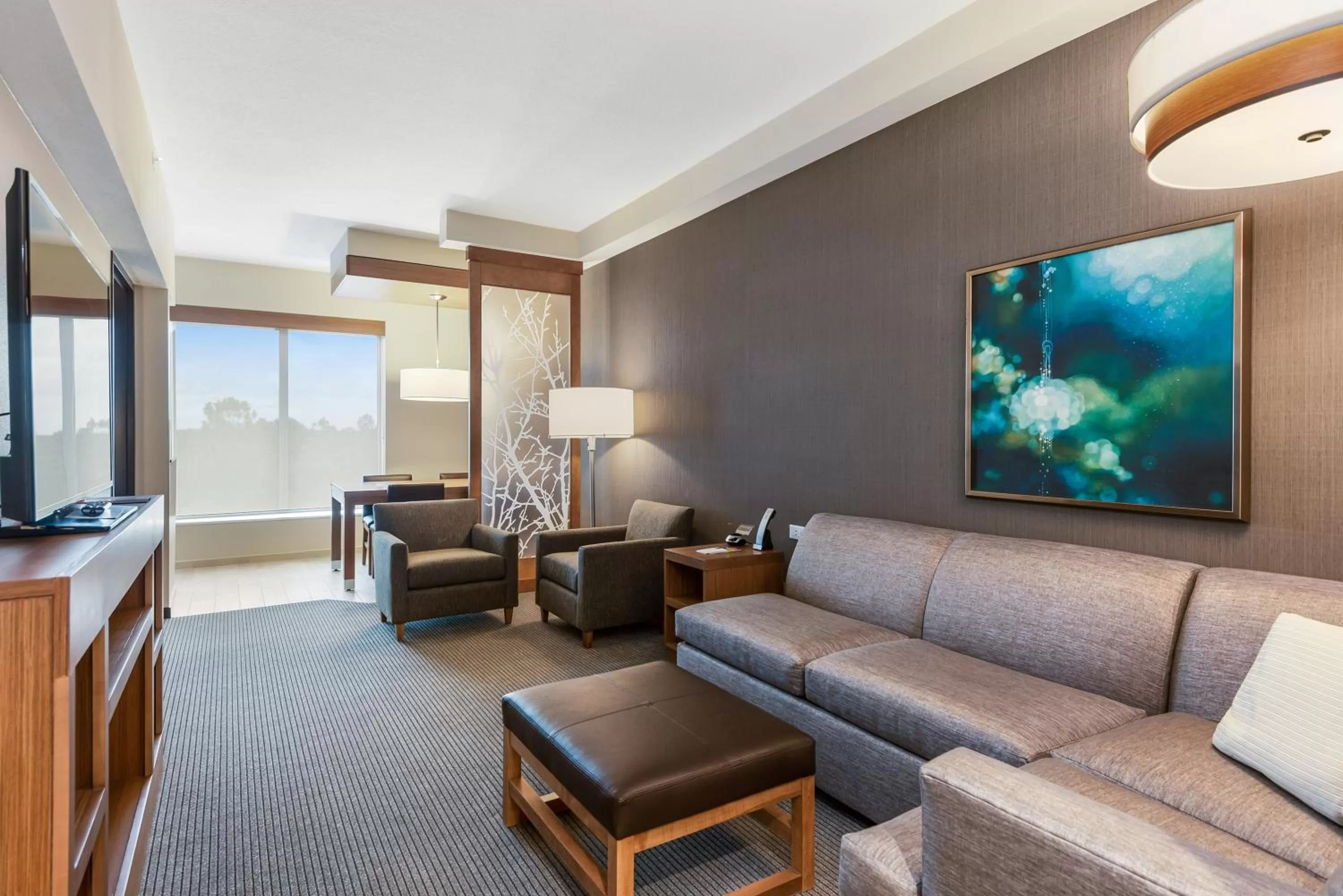 Living room in Hyatt Place Tampa/Wesley Chapel