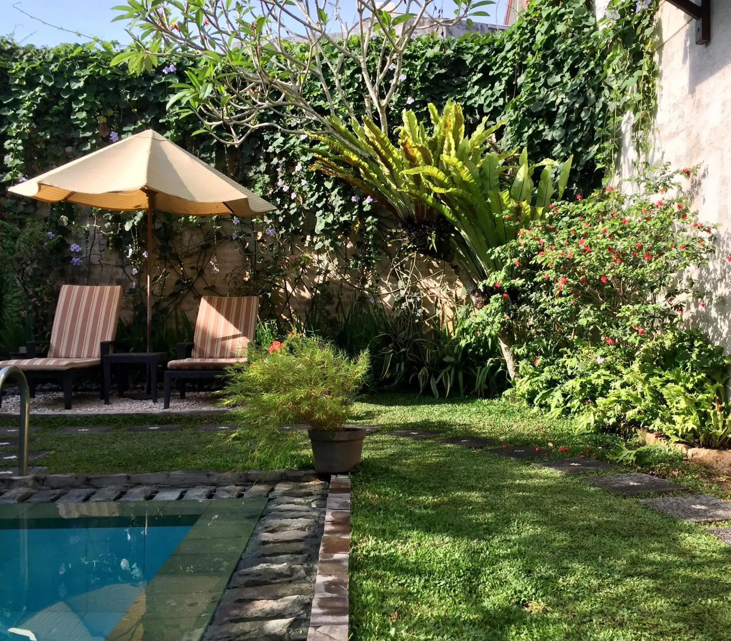 Garden, Swimming Pool in Villa Puriartha Ubud - CHSE Certified