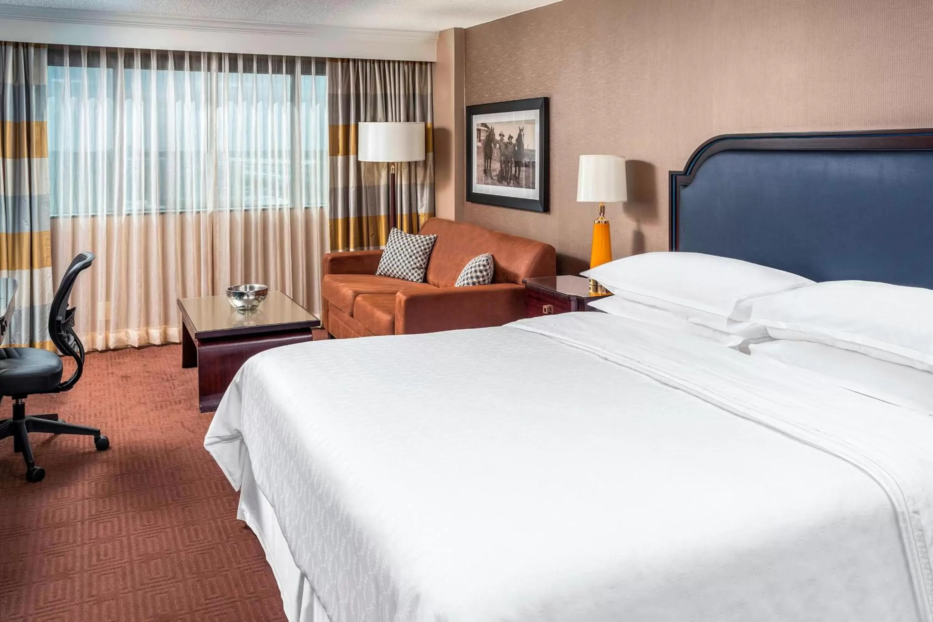 Photo of the whole room, Bed in Sheraton North Houston at George Bush Intercontinental