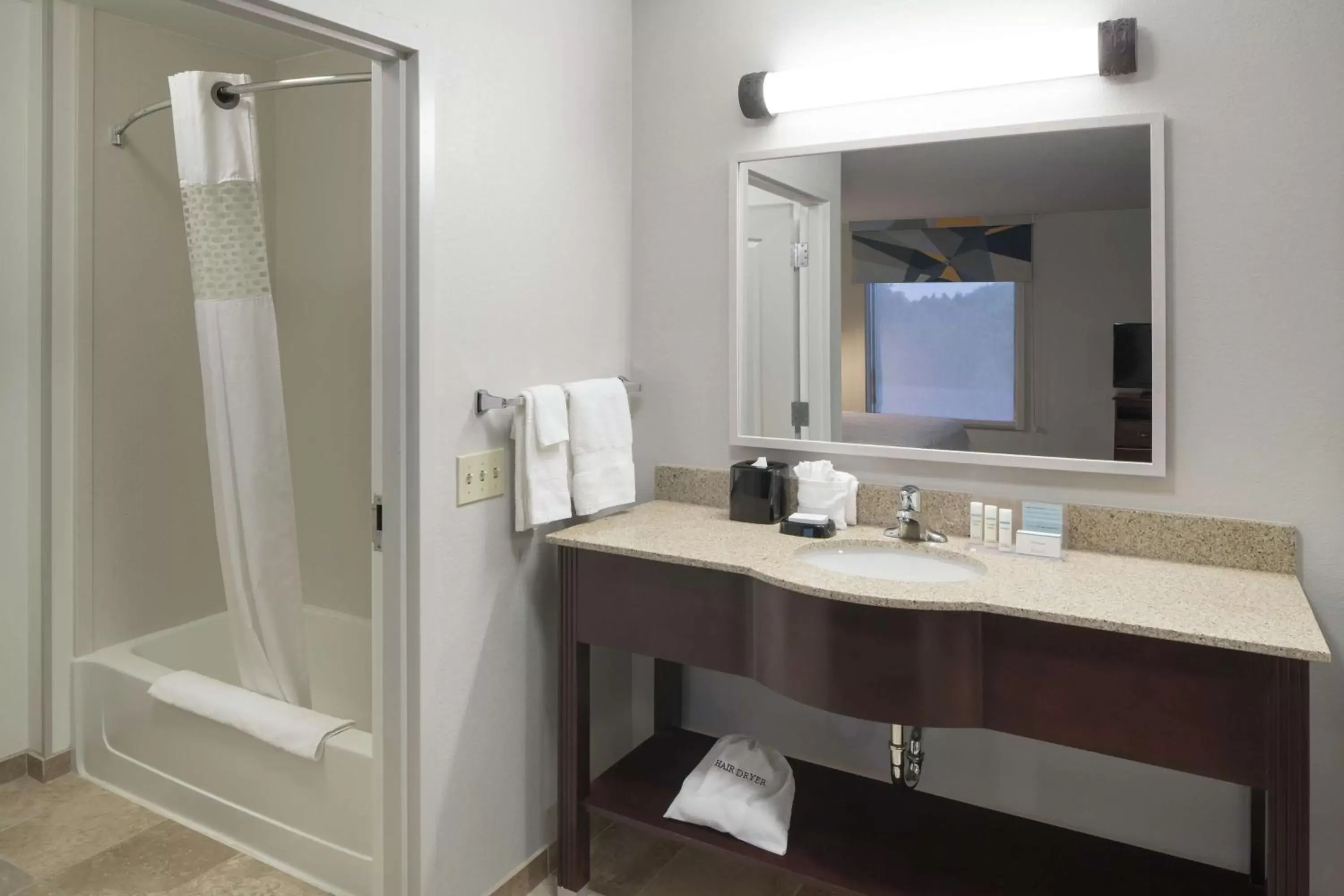 Bathroom in Hampton Inn & Suites Rochester-North