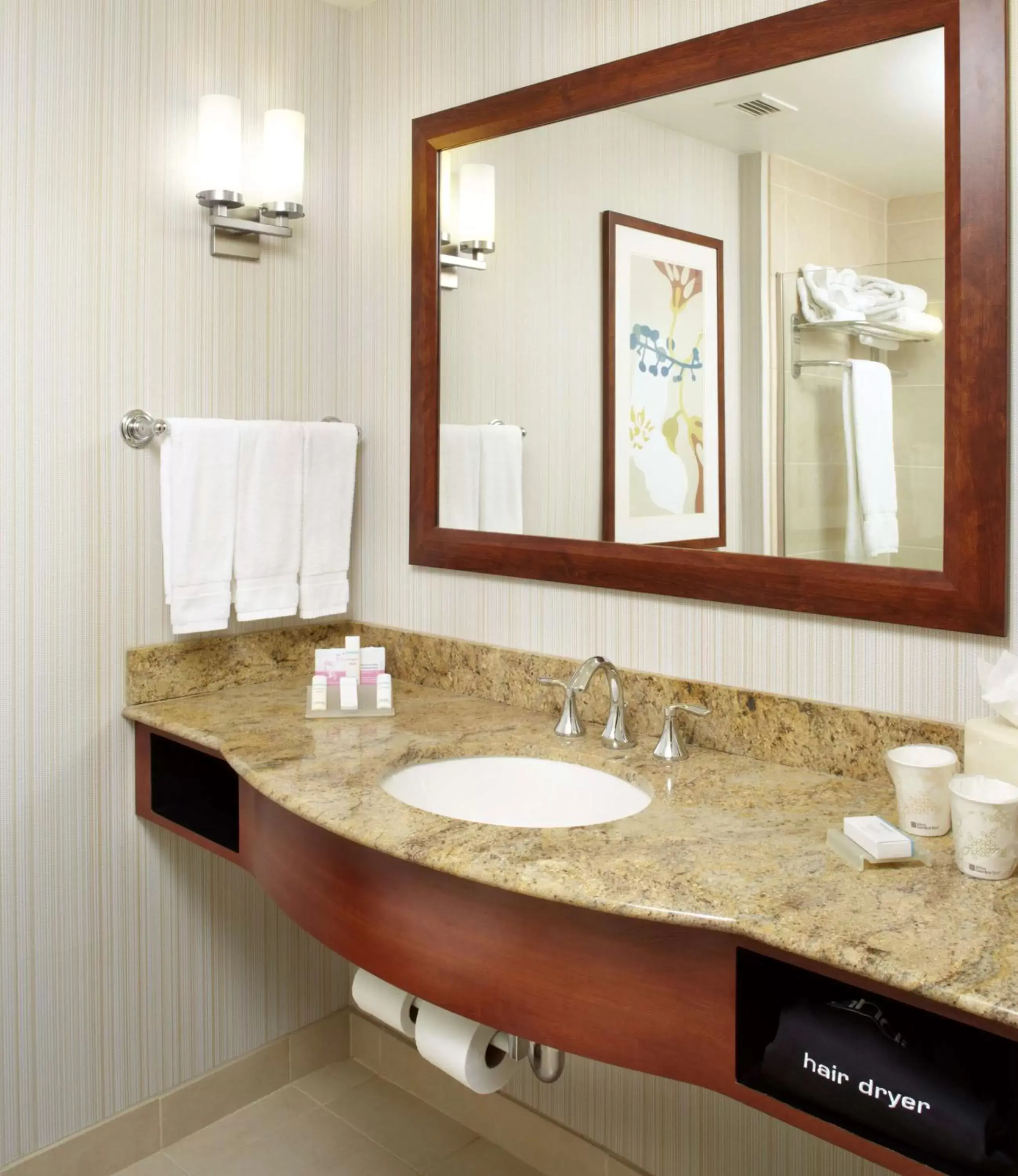 Bathroom in Hilton Garden Inn Dallas Arlington