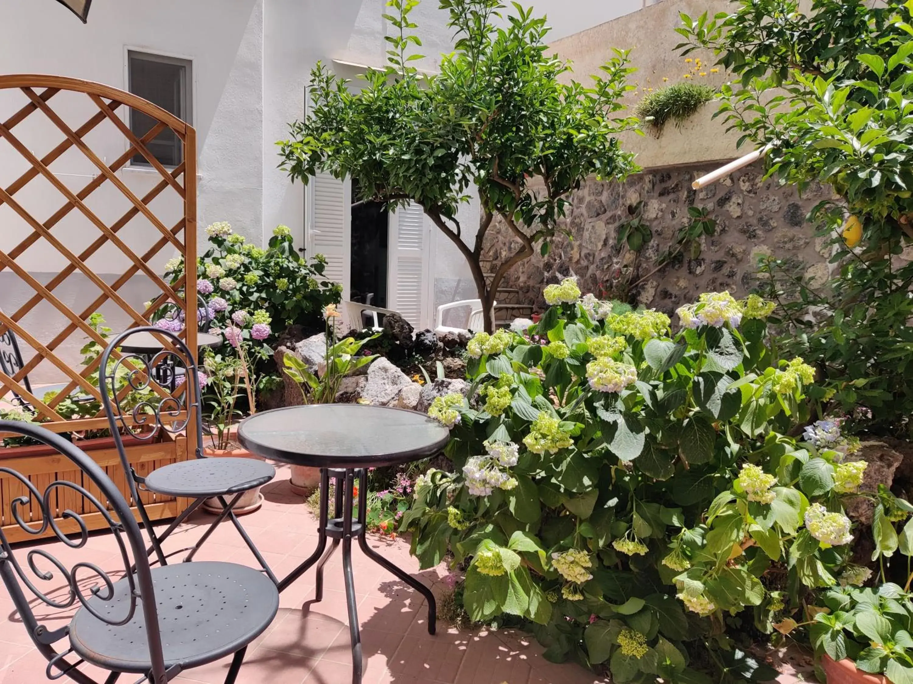 Property building in Hotel Villa Cecilia Property building in Hotel Villa Cecilia