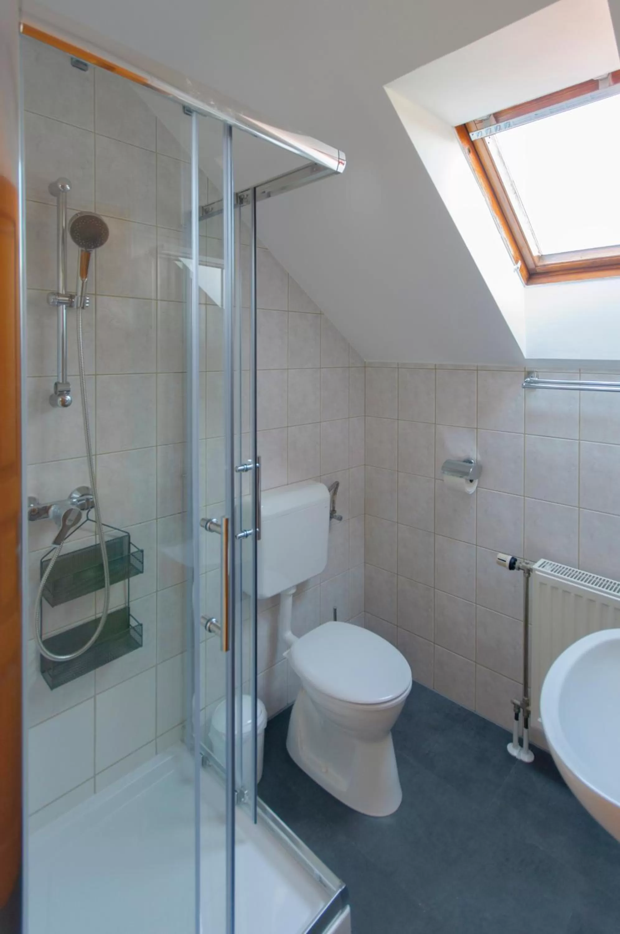 Shower in Villa Tara Bük