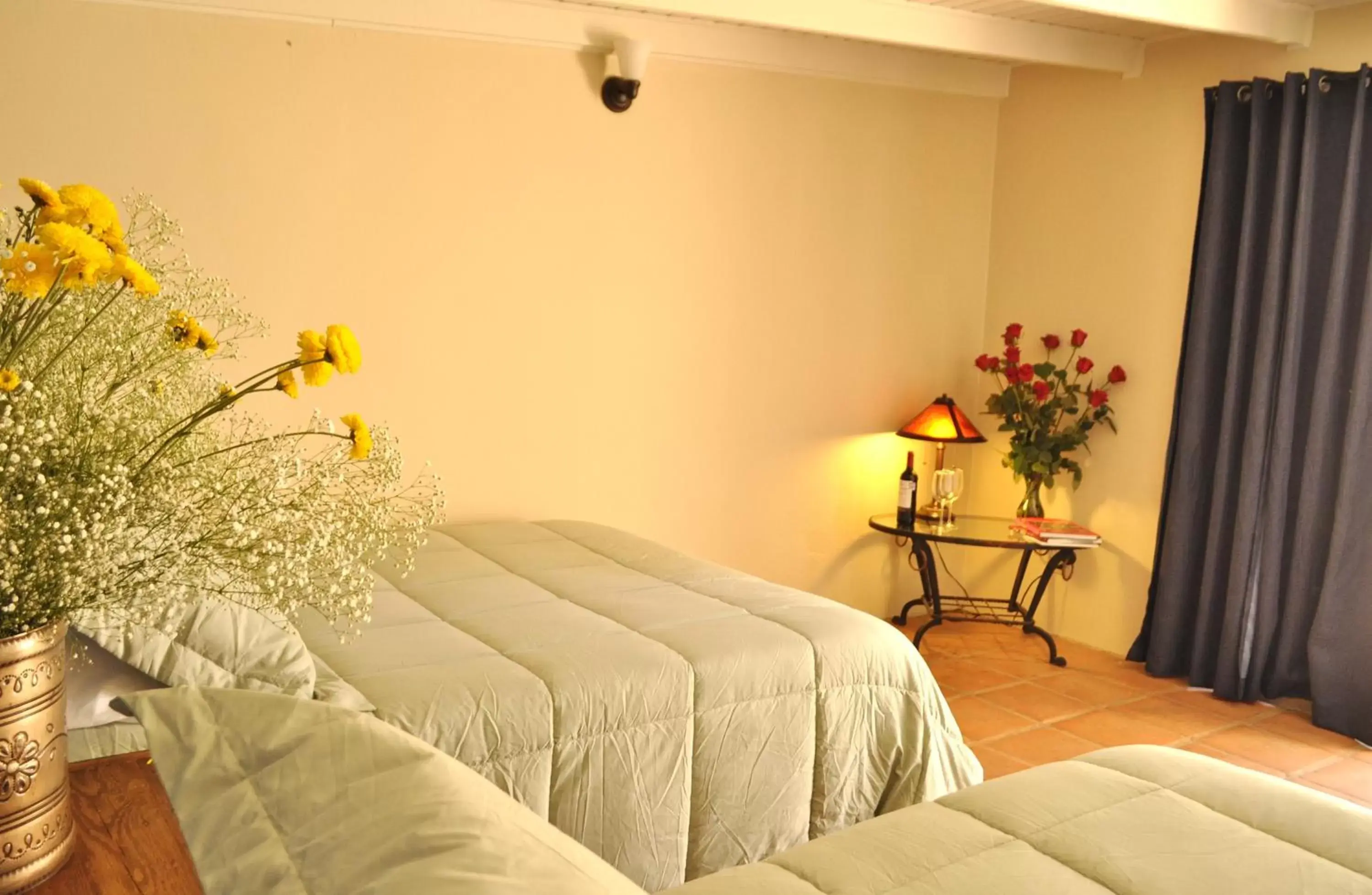 Budget Double Room in Horsepower Ranch Budget Double Room in Horsepower Ranch