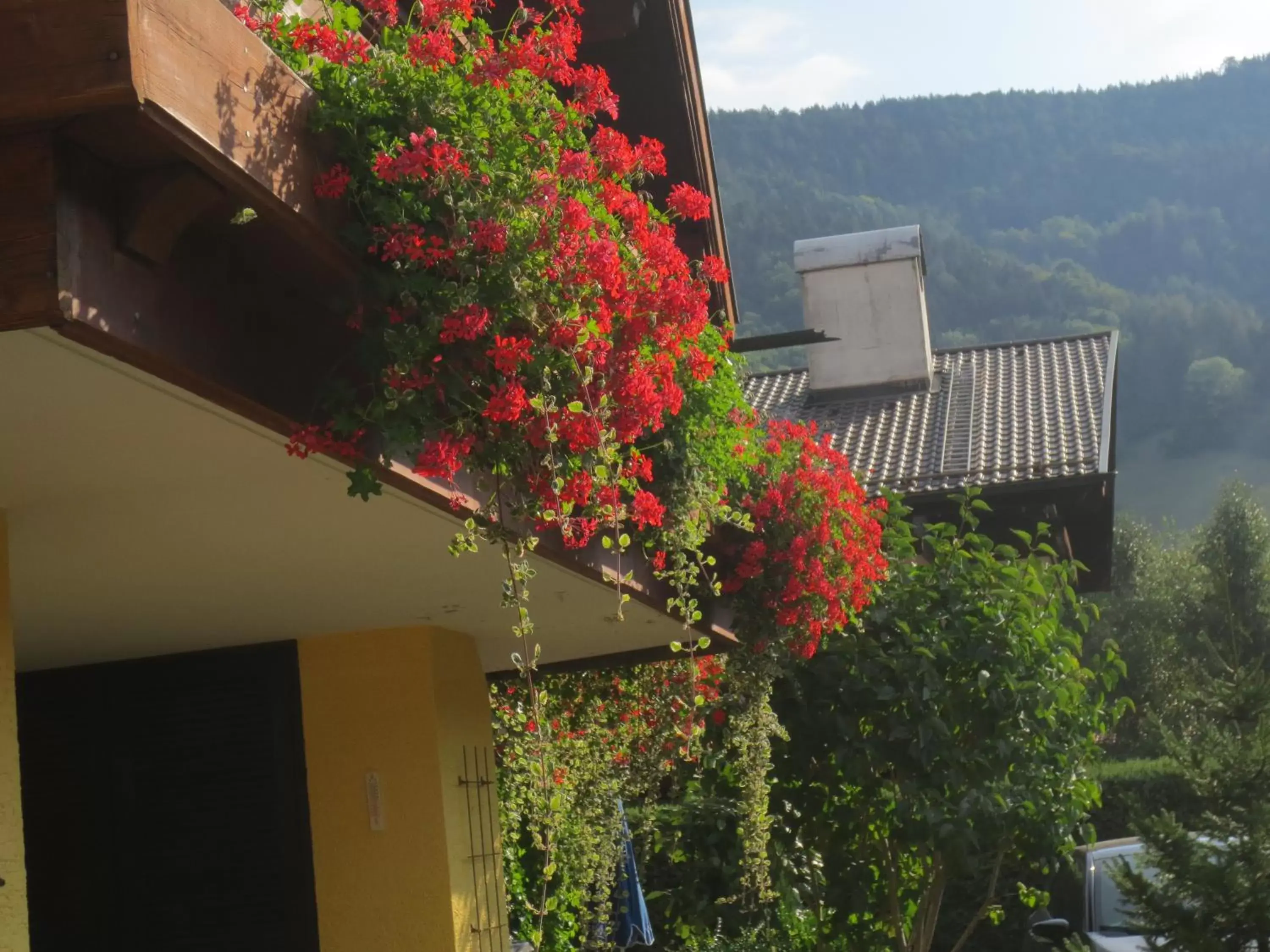 Property Building in Hotel Alp Inn