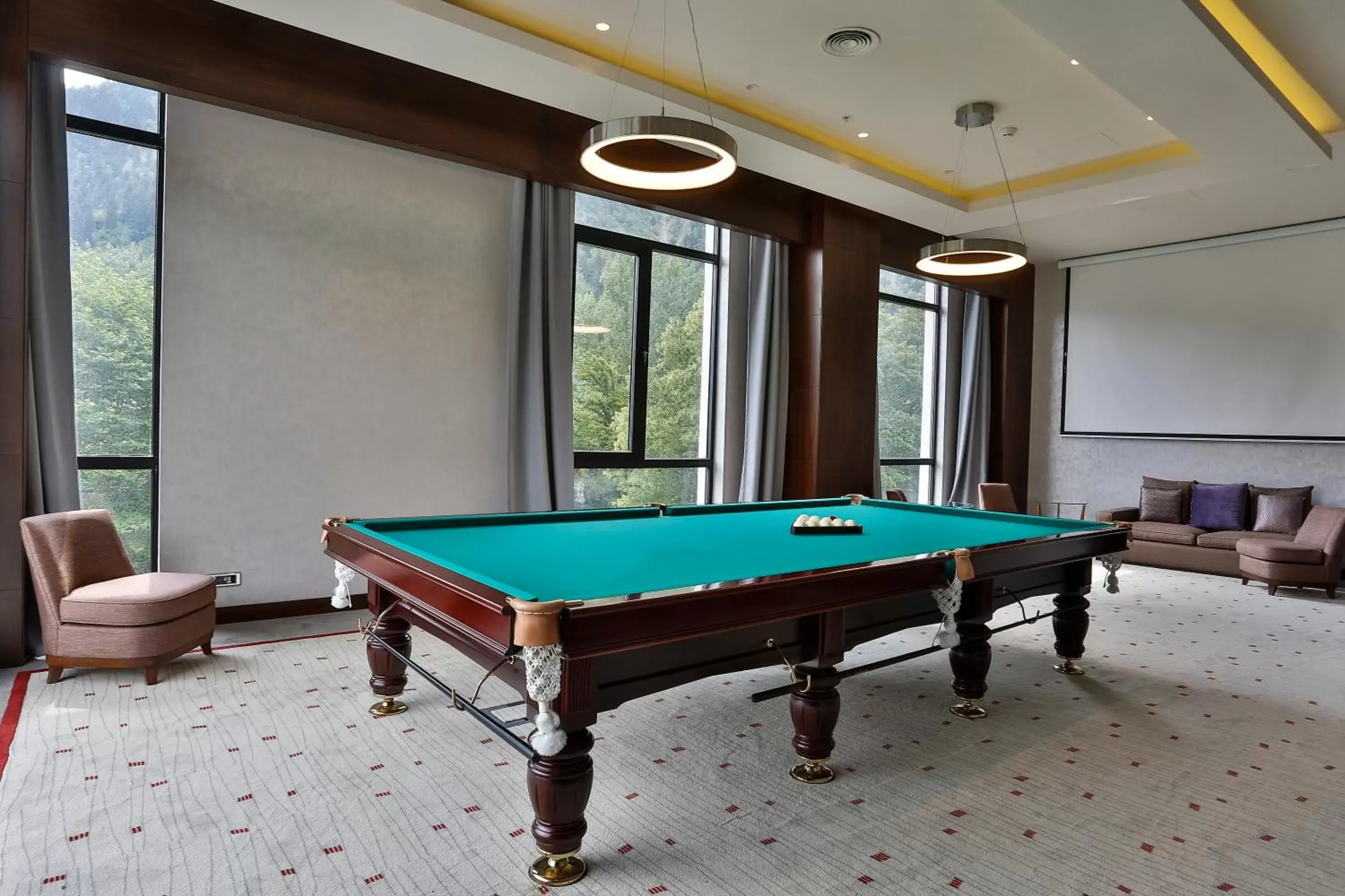 Billiard, Billiards in Borjomi Likani Health & Spa Centre
