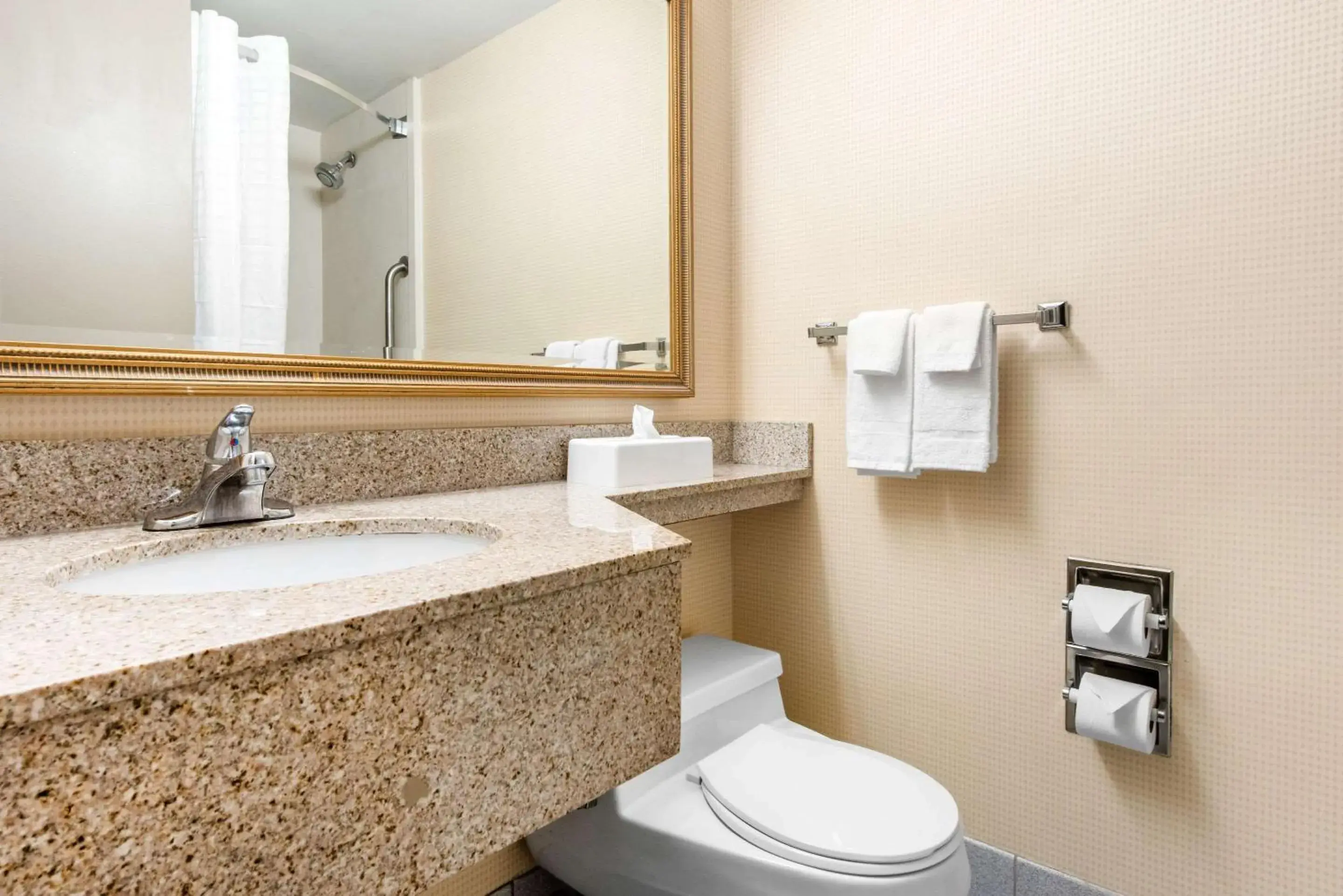 Bathroom in Quality Inn & Suites